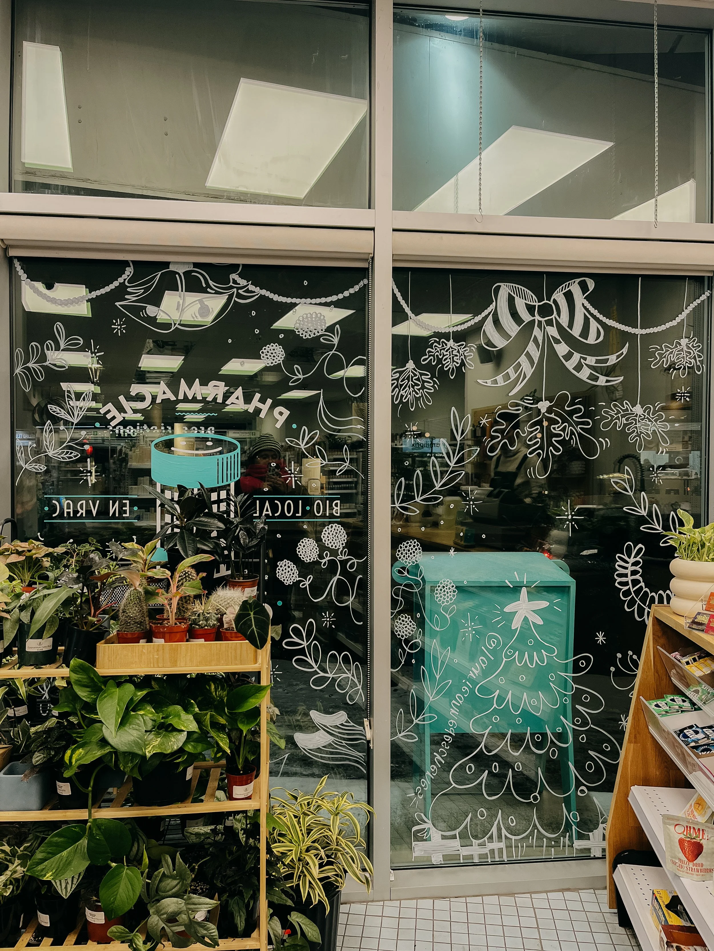 Vitrine décorée de dessins de Noël, comprenant un sapin, un gros nœud, des branches et des guirlandes, avec des plantes en pot à l'intérieur et un rayon de magasin visible à travers la vitre.