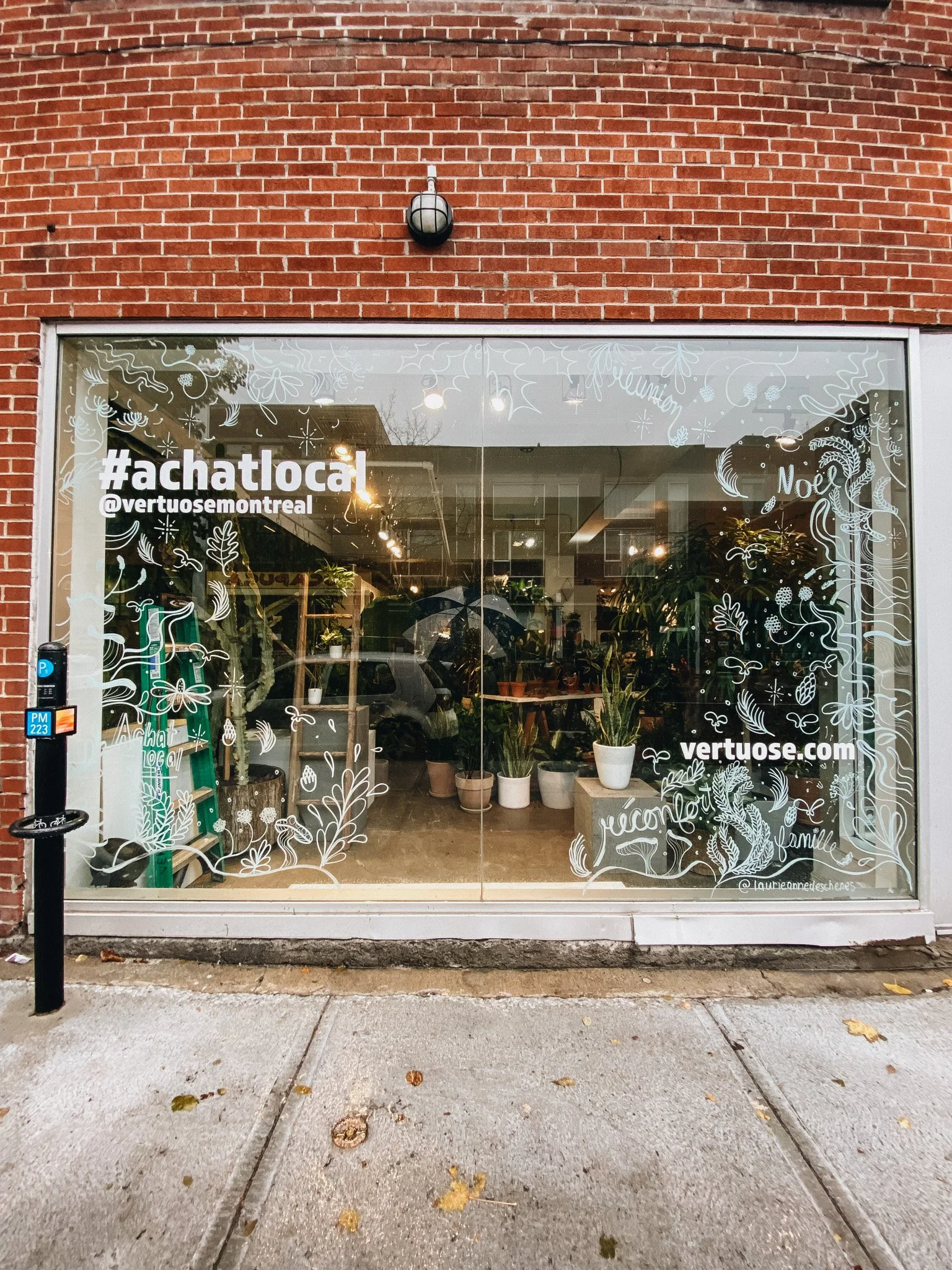 Illustrations vitrines de magasins