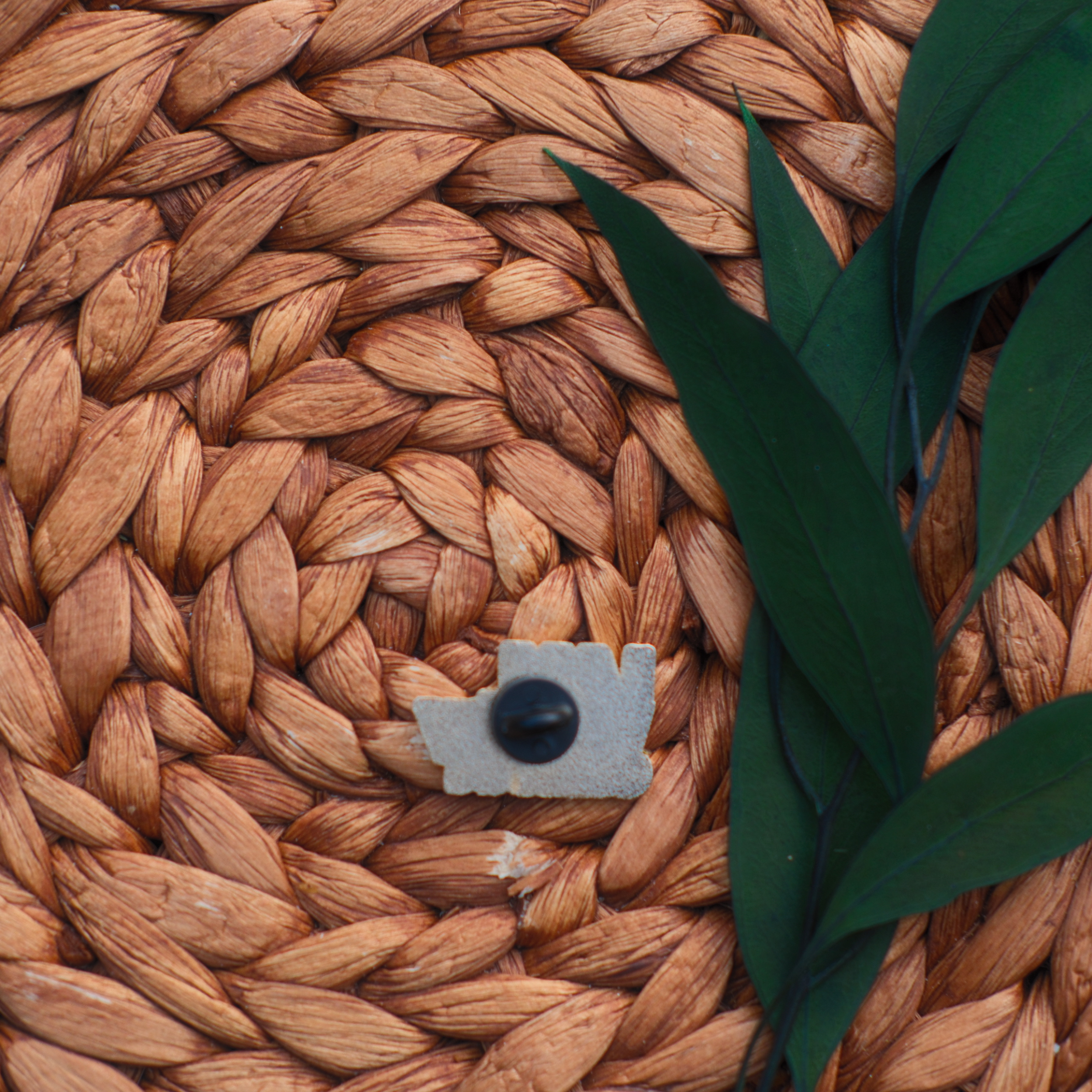 Untitled design (3).png