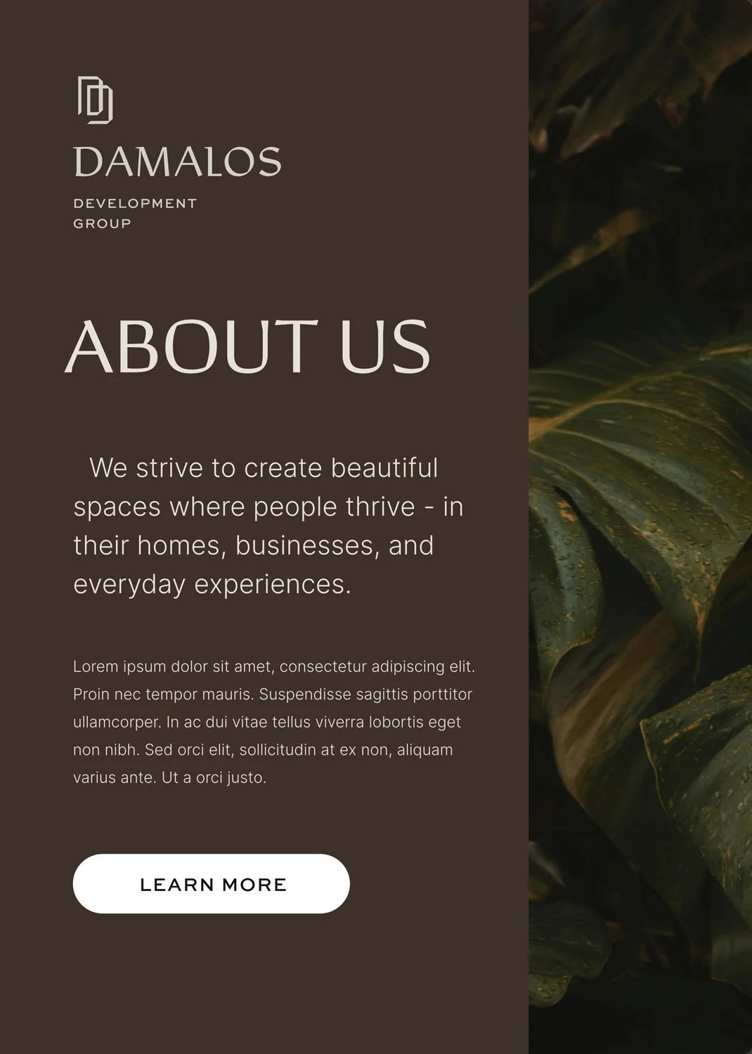 Damalos Development Typography Design