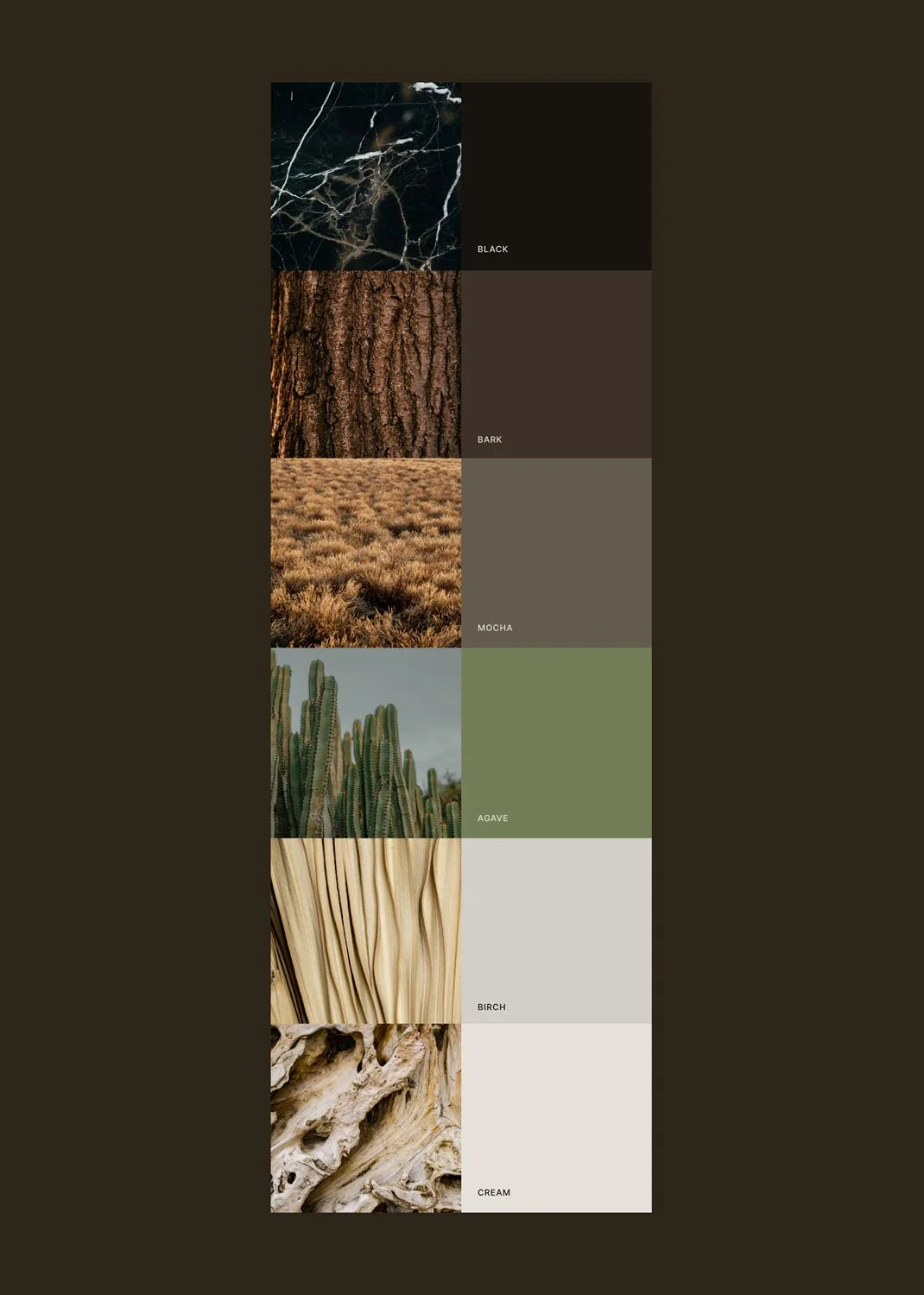 Damalos Development Color Palette Design