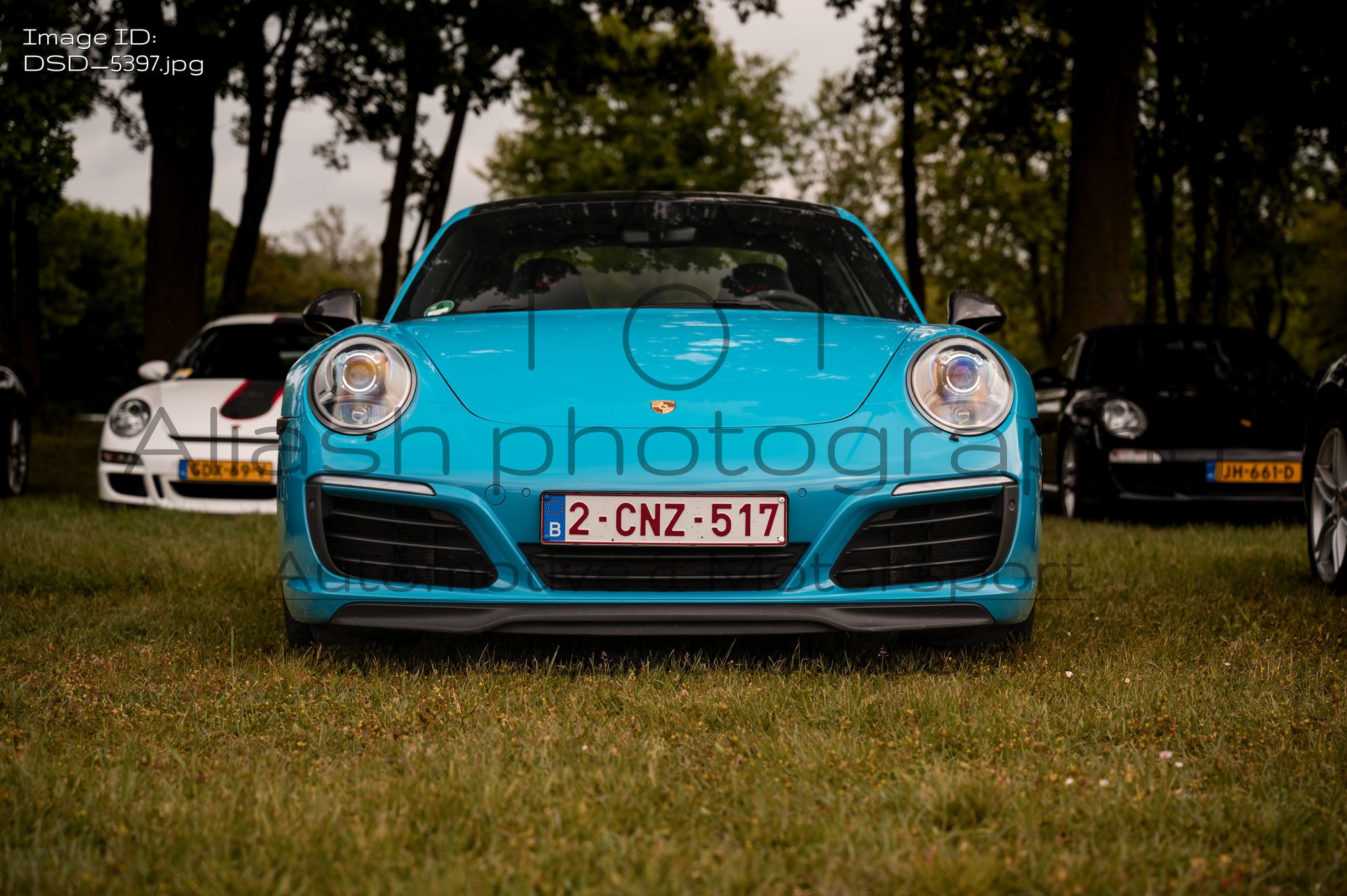 DSD_5397.jpg