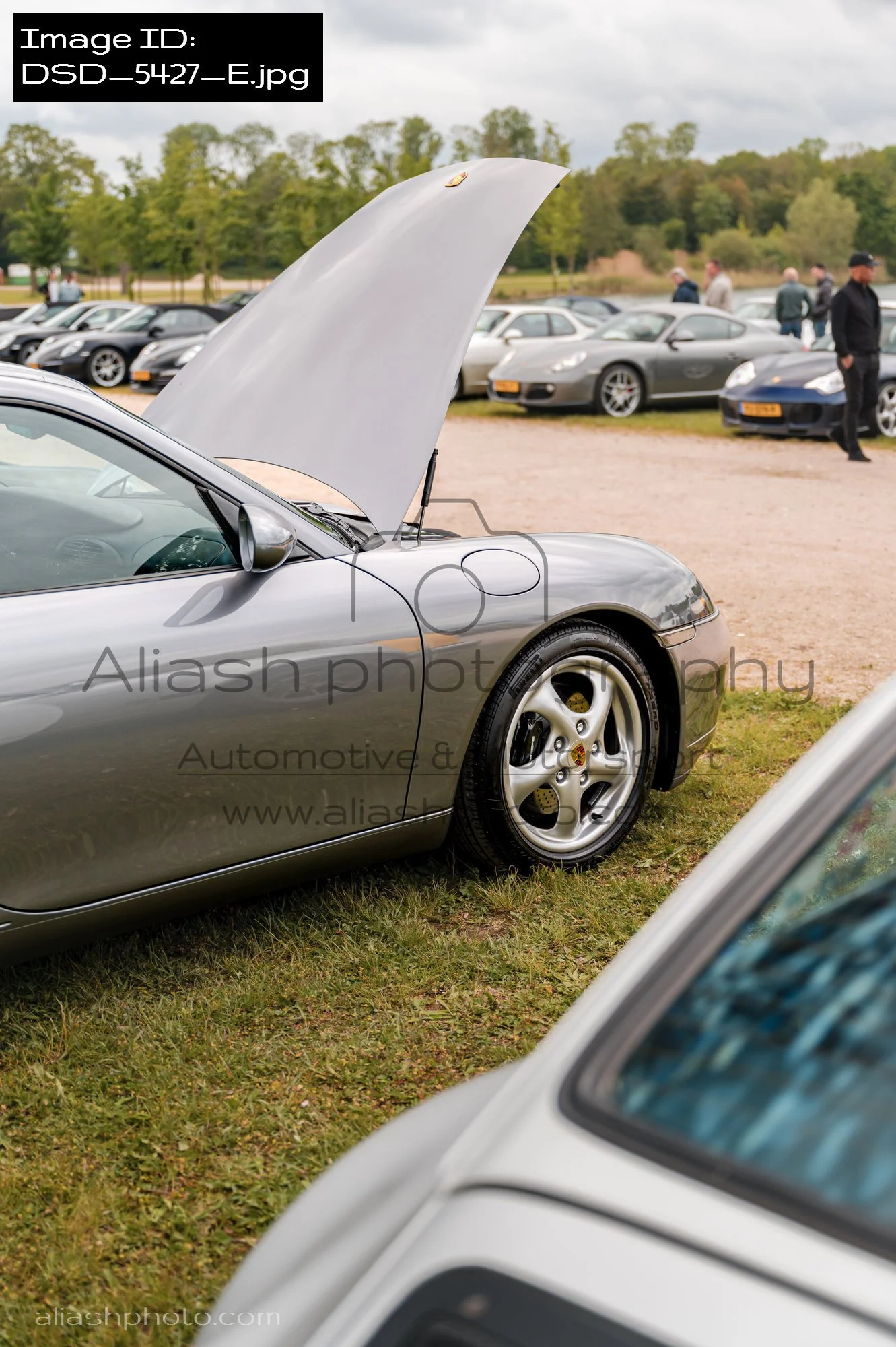 DSD_5427_E.jpg