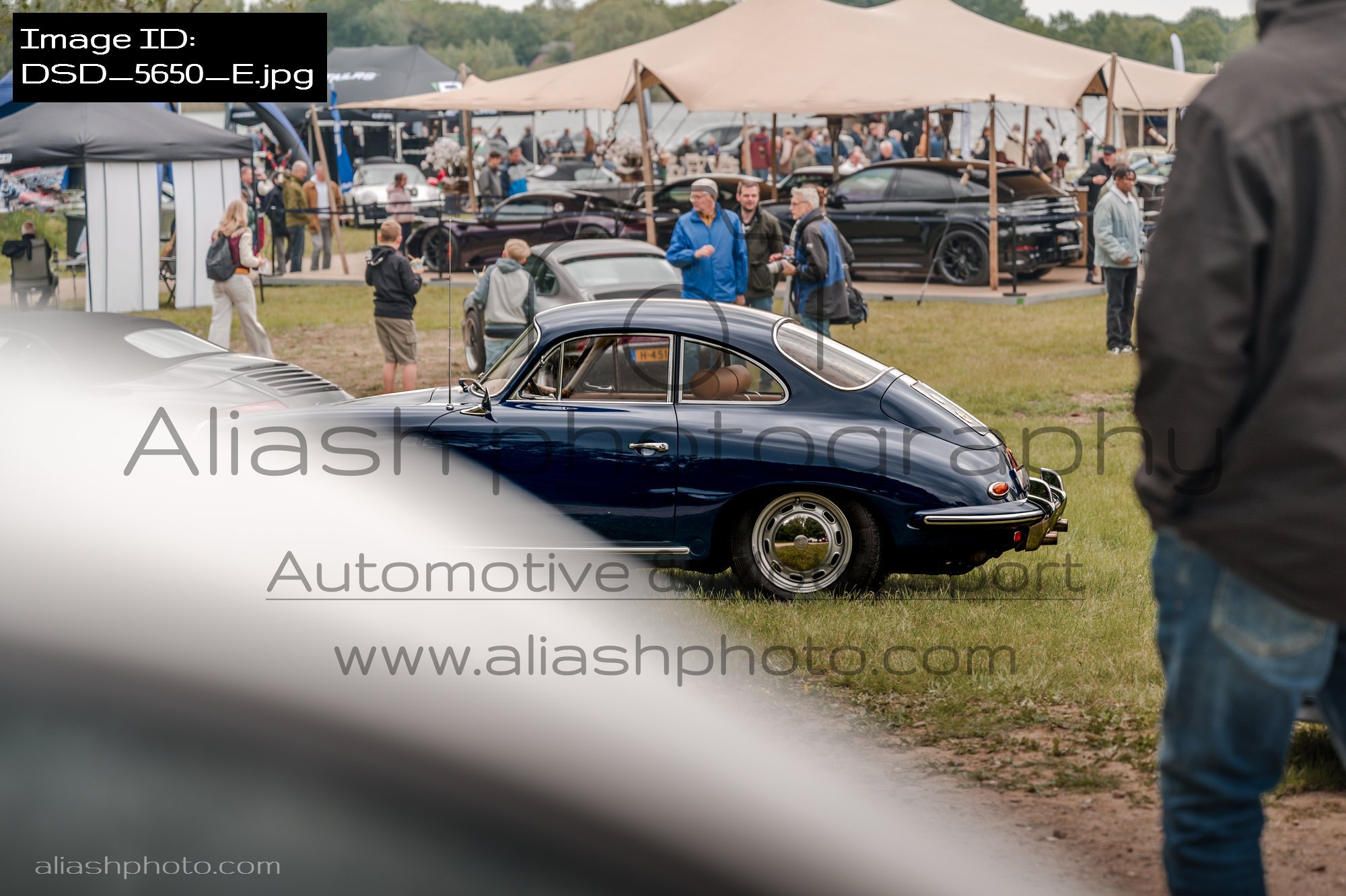 DSD_5650_E.jpg