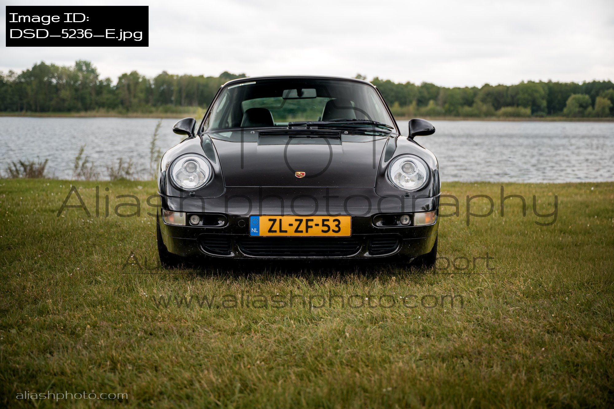 DSD_5236_E.jpg