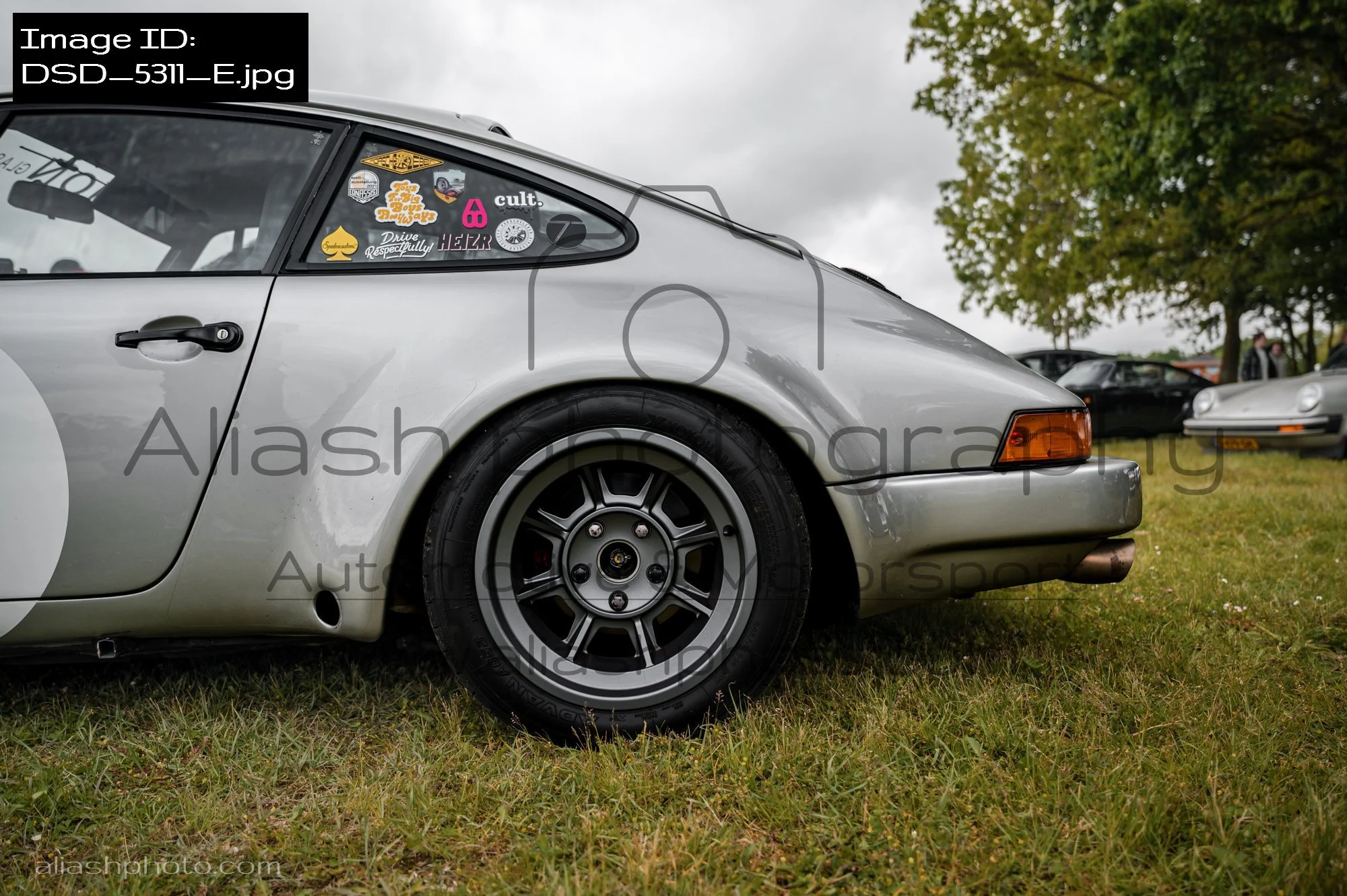 DSD_5311_E.jpg