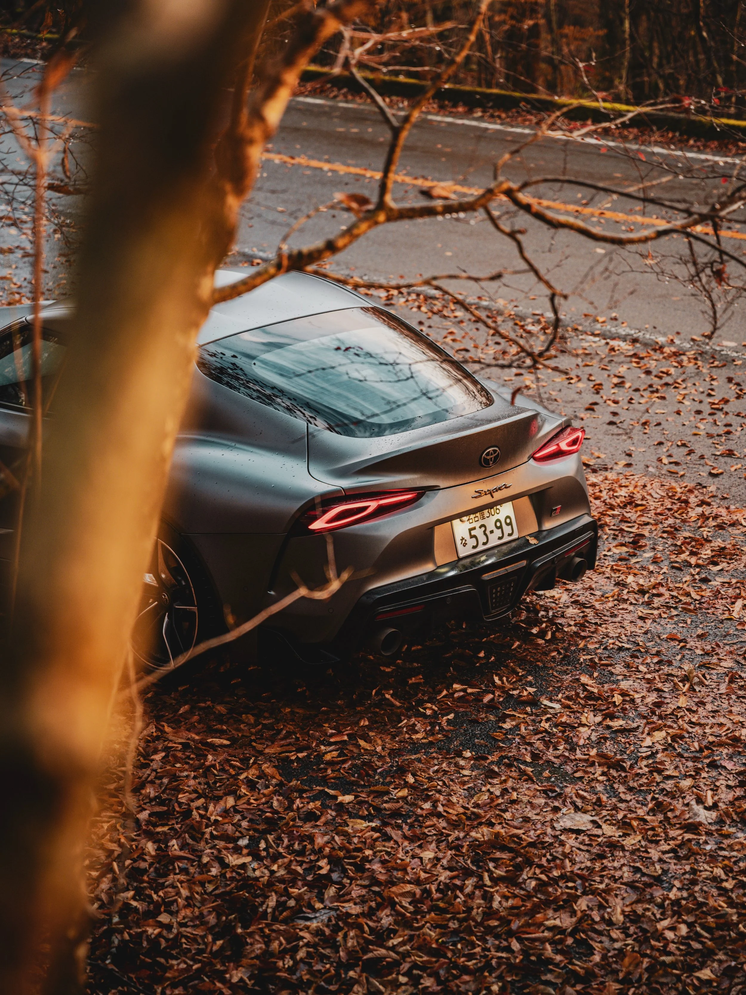 Some memories stay with you long after the trip is over.

Driving a Toyota Supra around Mt. Fuji during autumn was one of them. Those quiet mountain roads, colourful forests, and Fuji occasionally appearing between the trees and clouds.

It was my fi