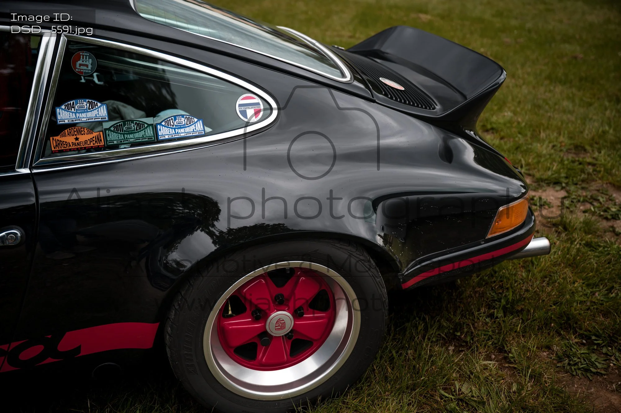 DSD_5591.jpg