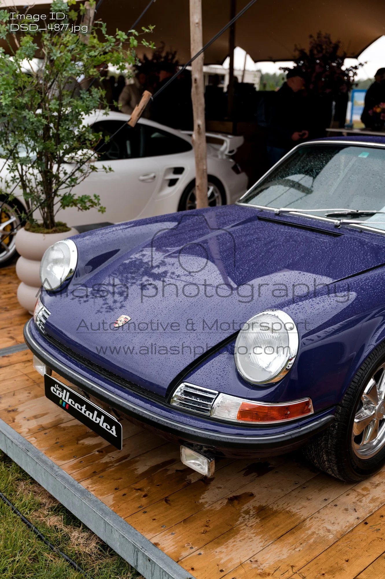 DSD_4877.jpg