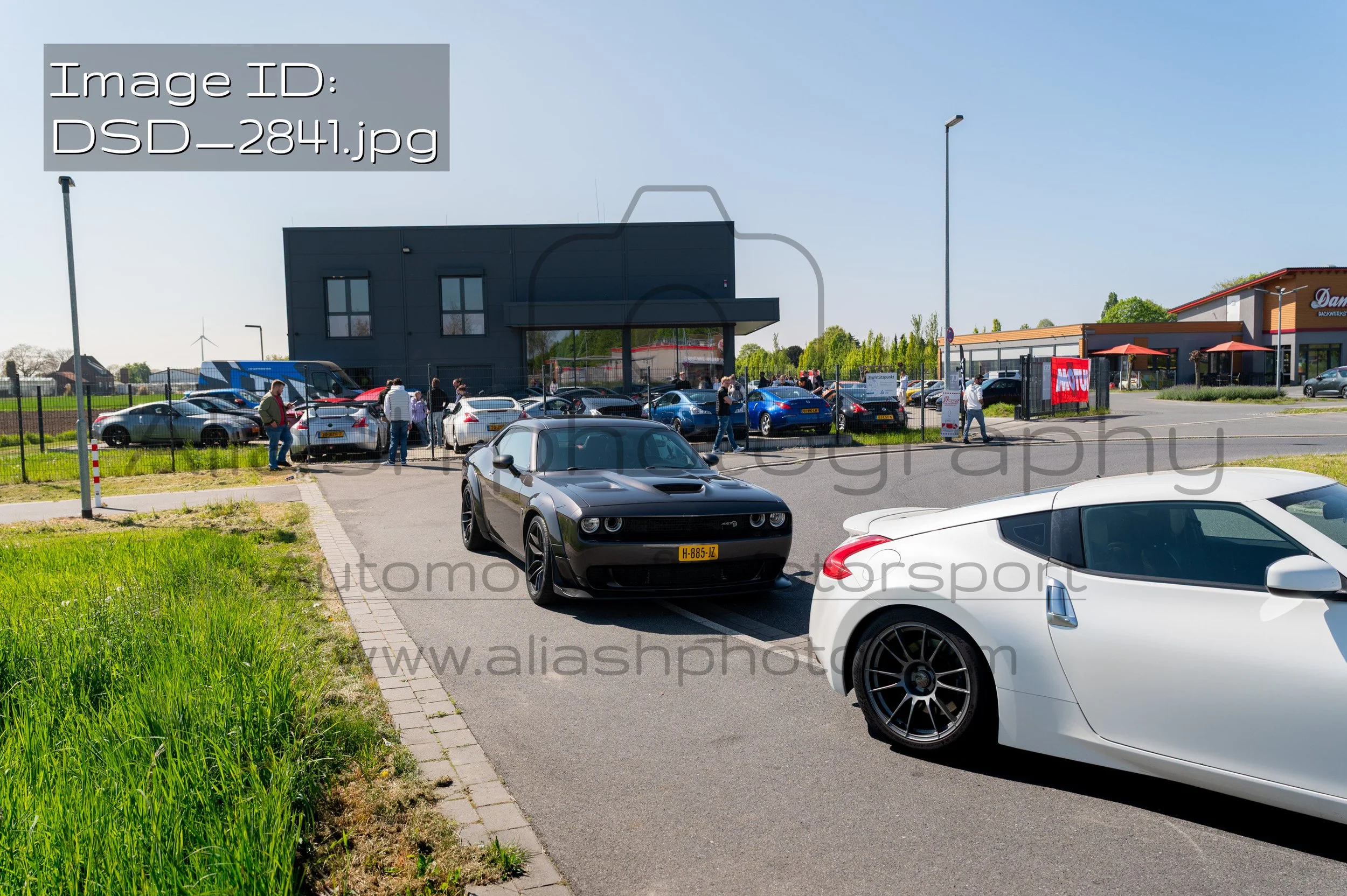 DSD_2841.jpg