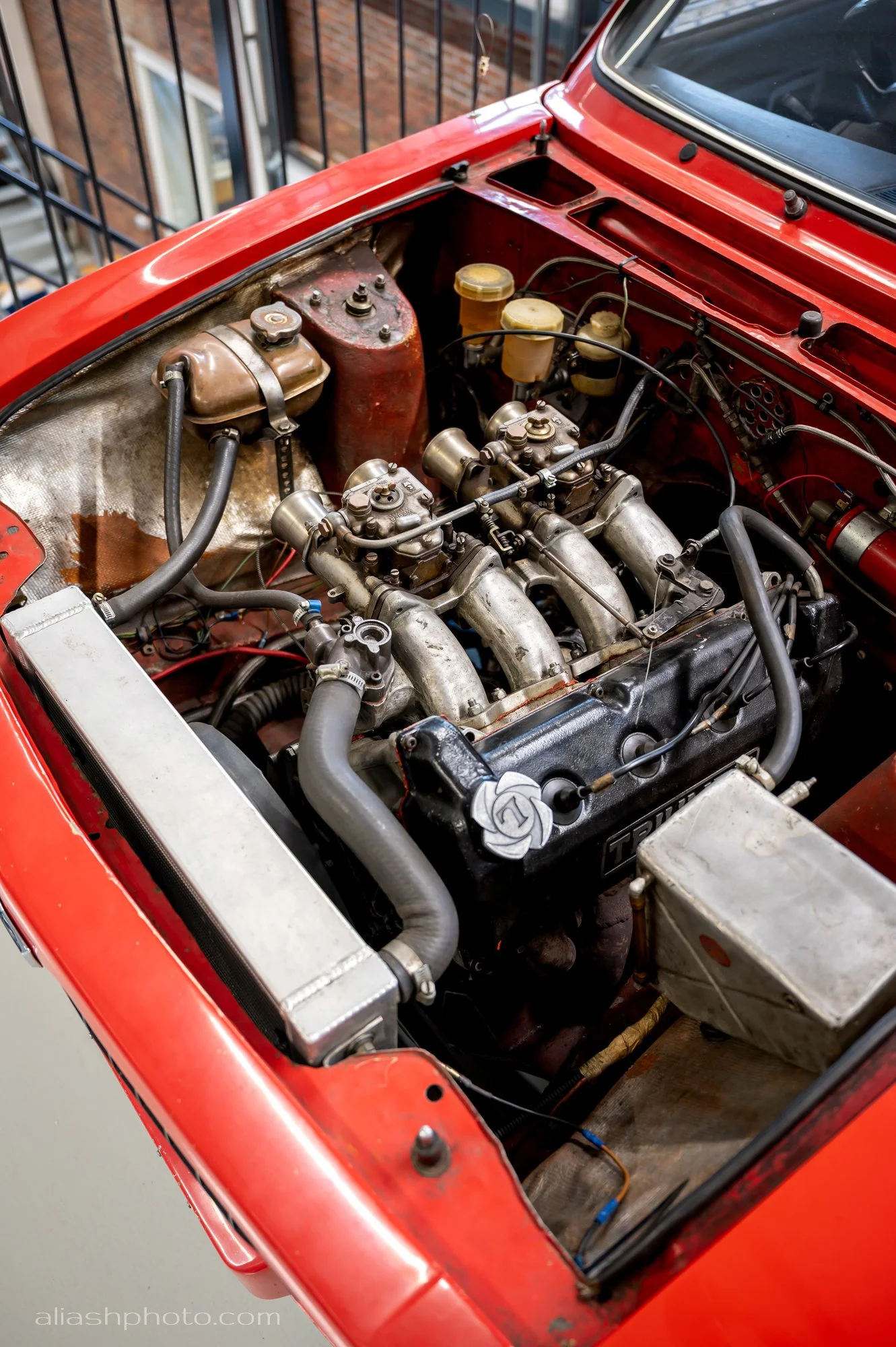DSD_8893_S.jpg