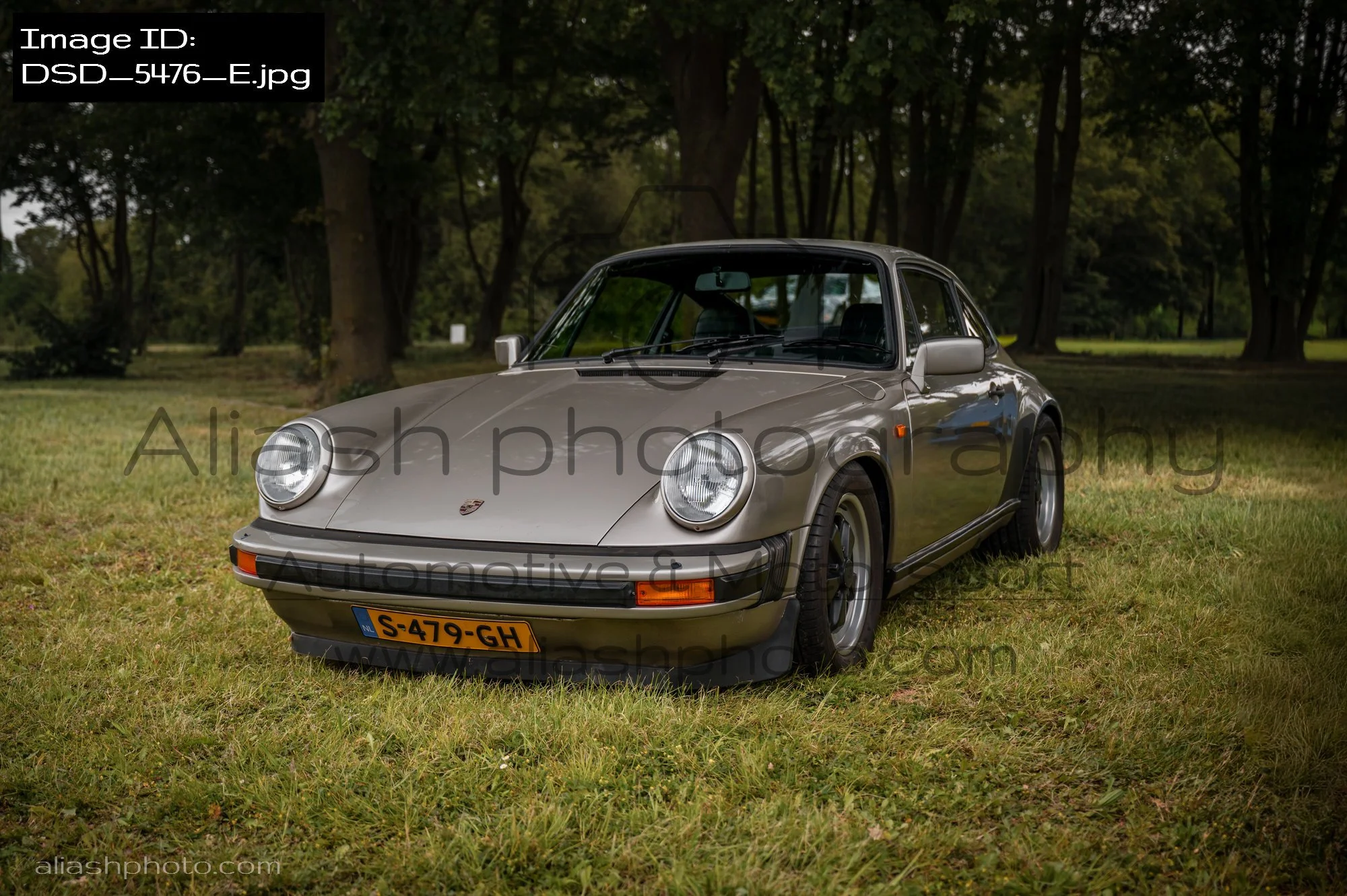DSD_5476_E.jpg