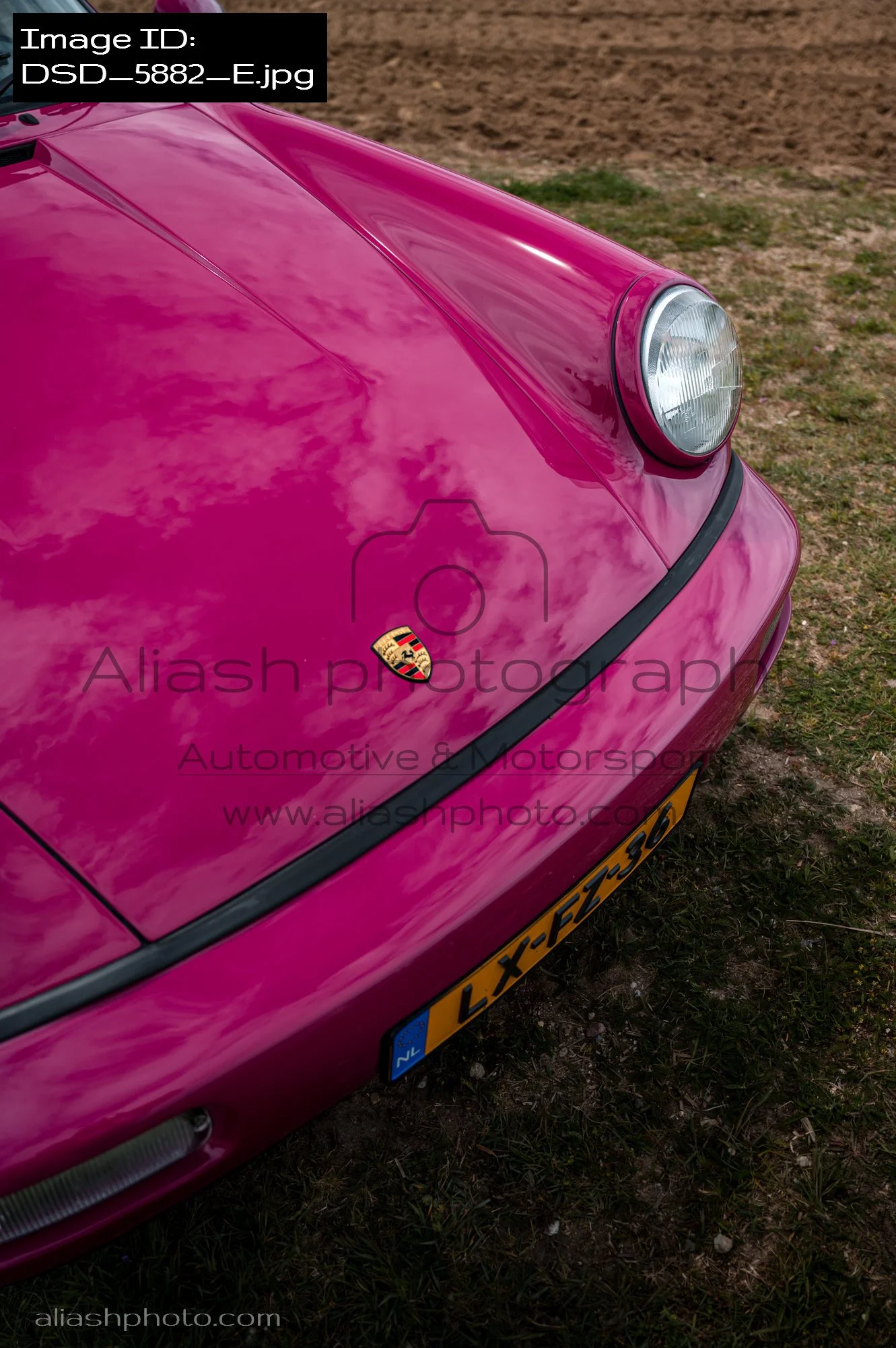 DSD_5882_E.jpg