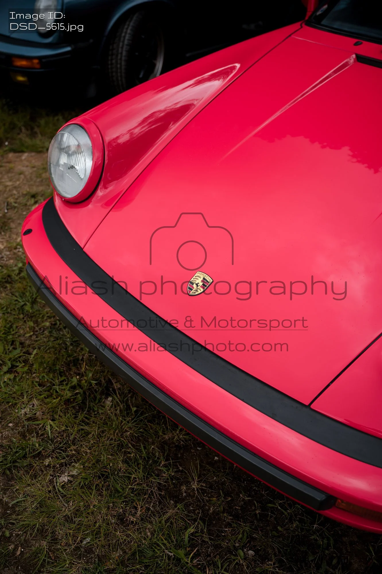 DSD_5615.jpg