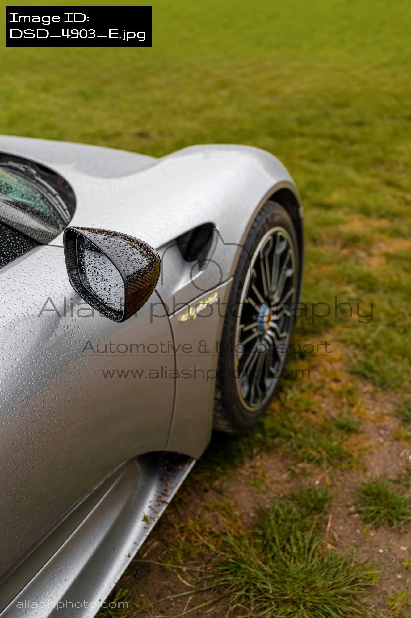 DSD_4903_E.jpg