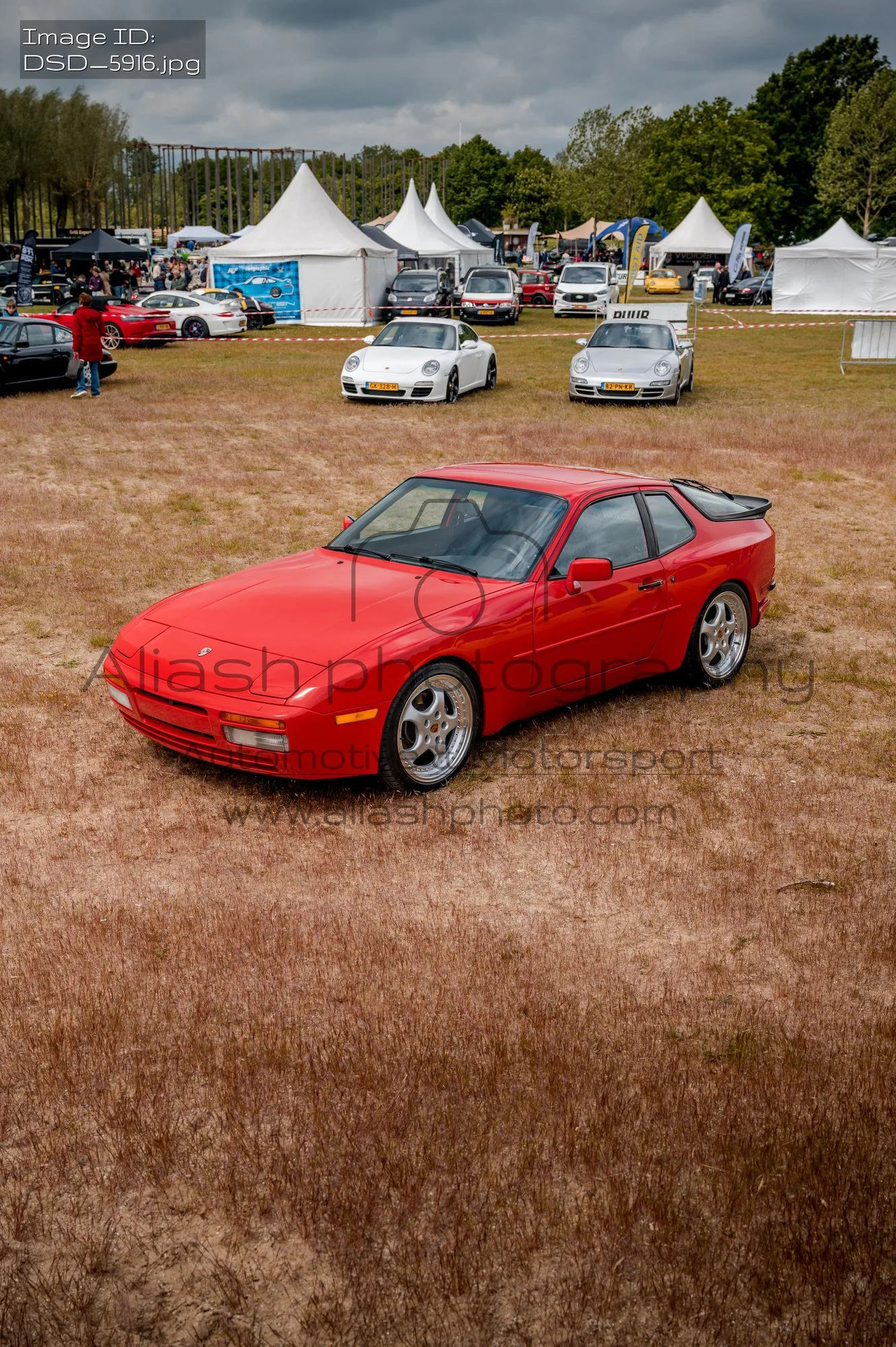 DSD_5916.jpg