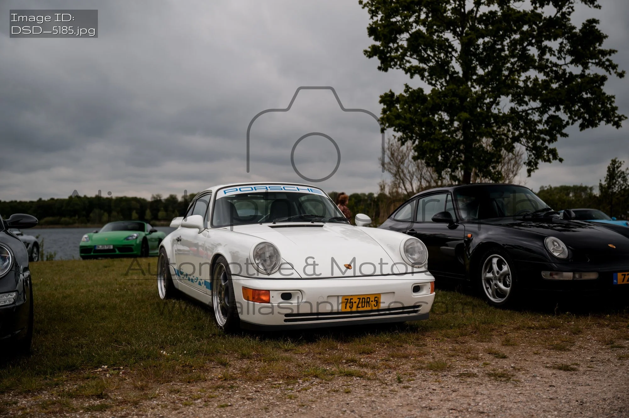 DSD_5185.jpg