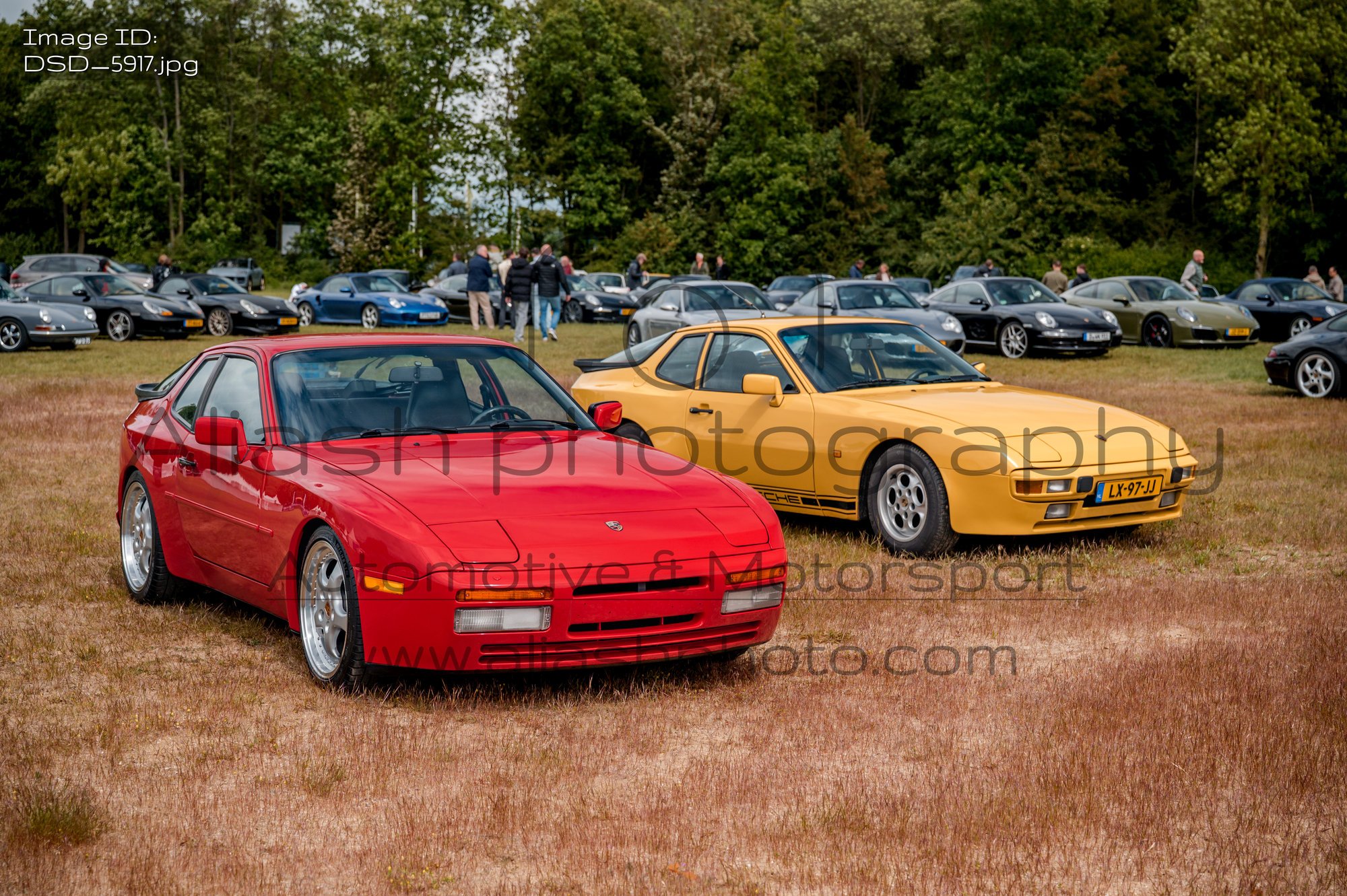 DSD_5917.jpg