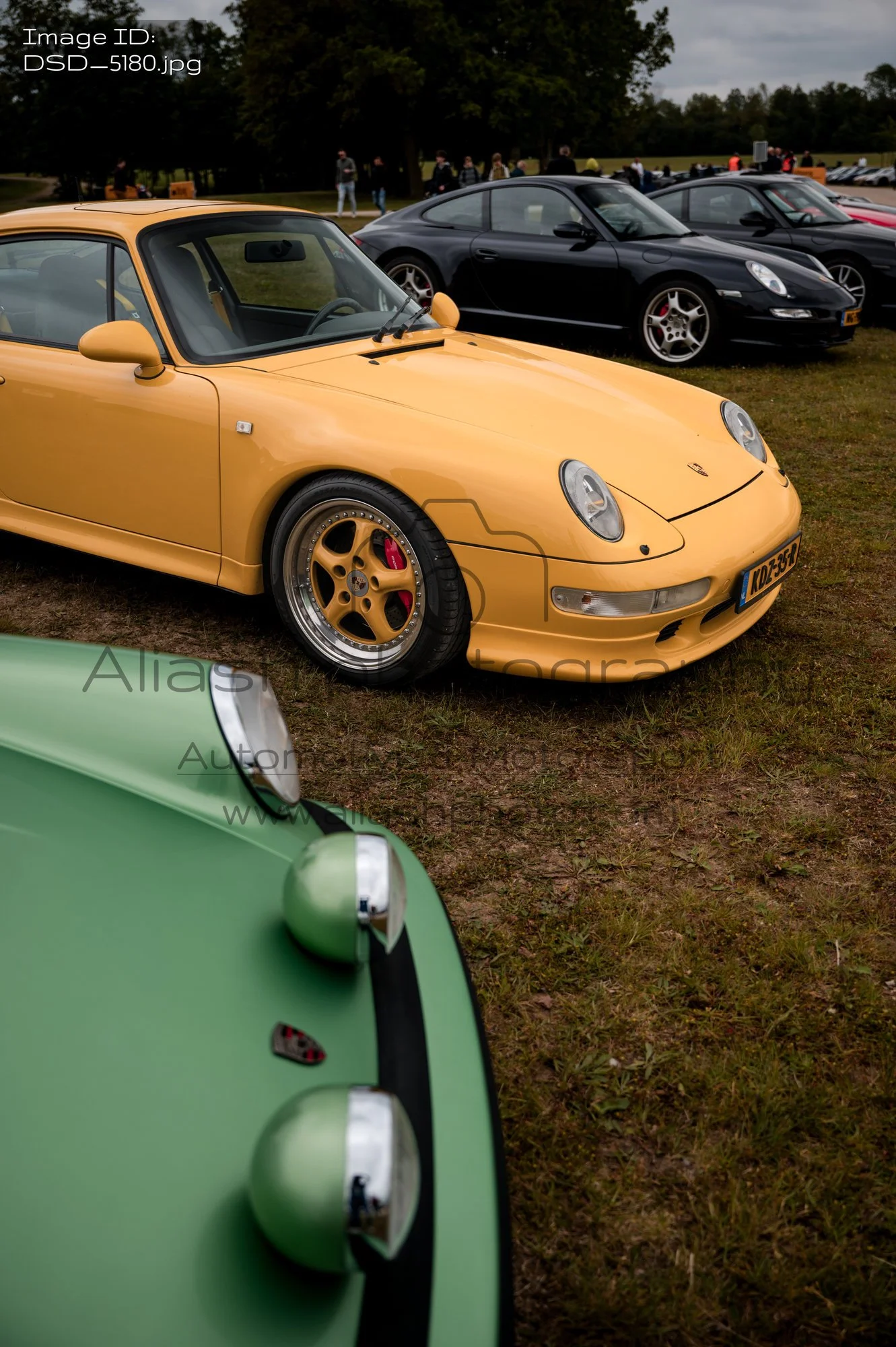 DSD_5180.jpg