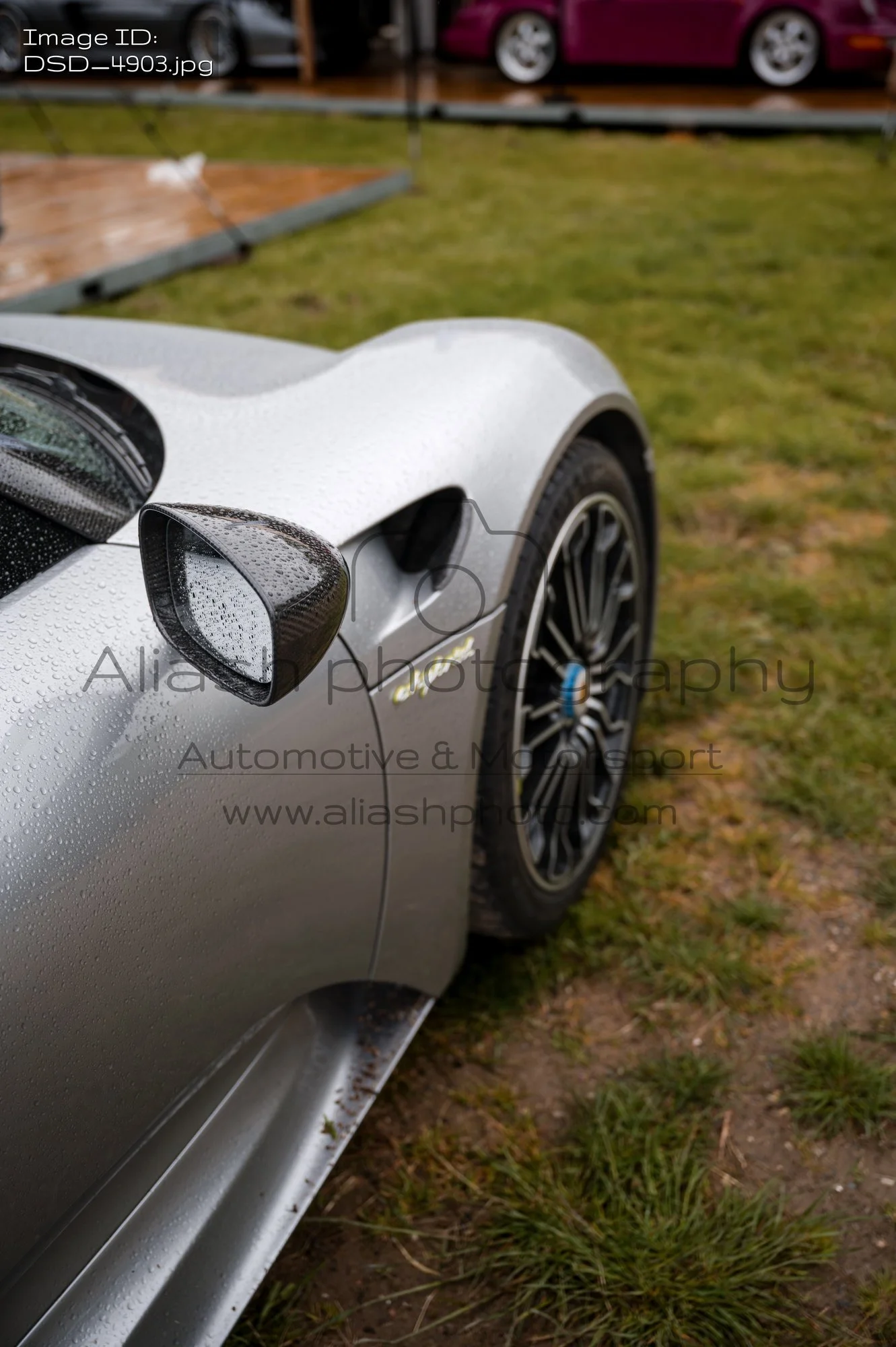 DSD_4903.jpg