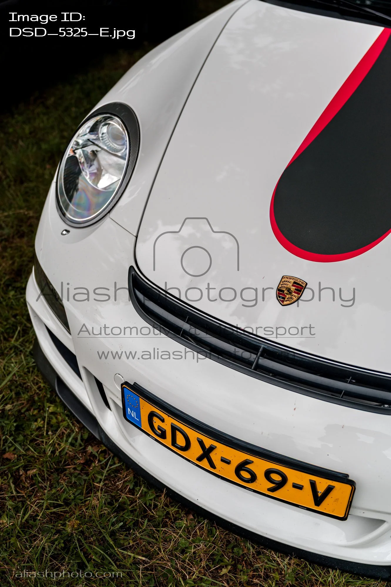DSD_5325_E.jpg