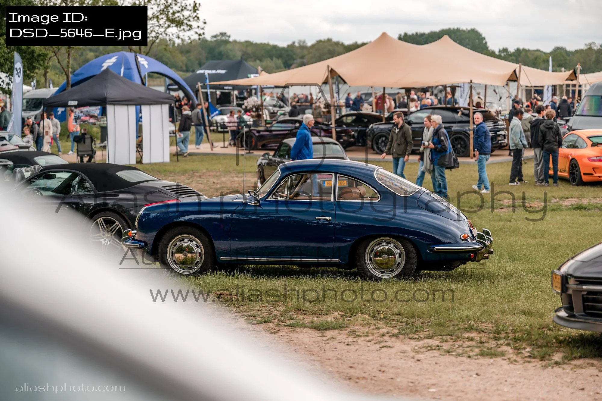 DSD_5646_E.jpg