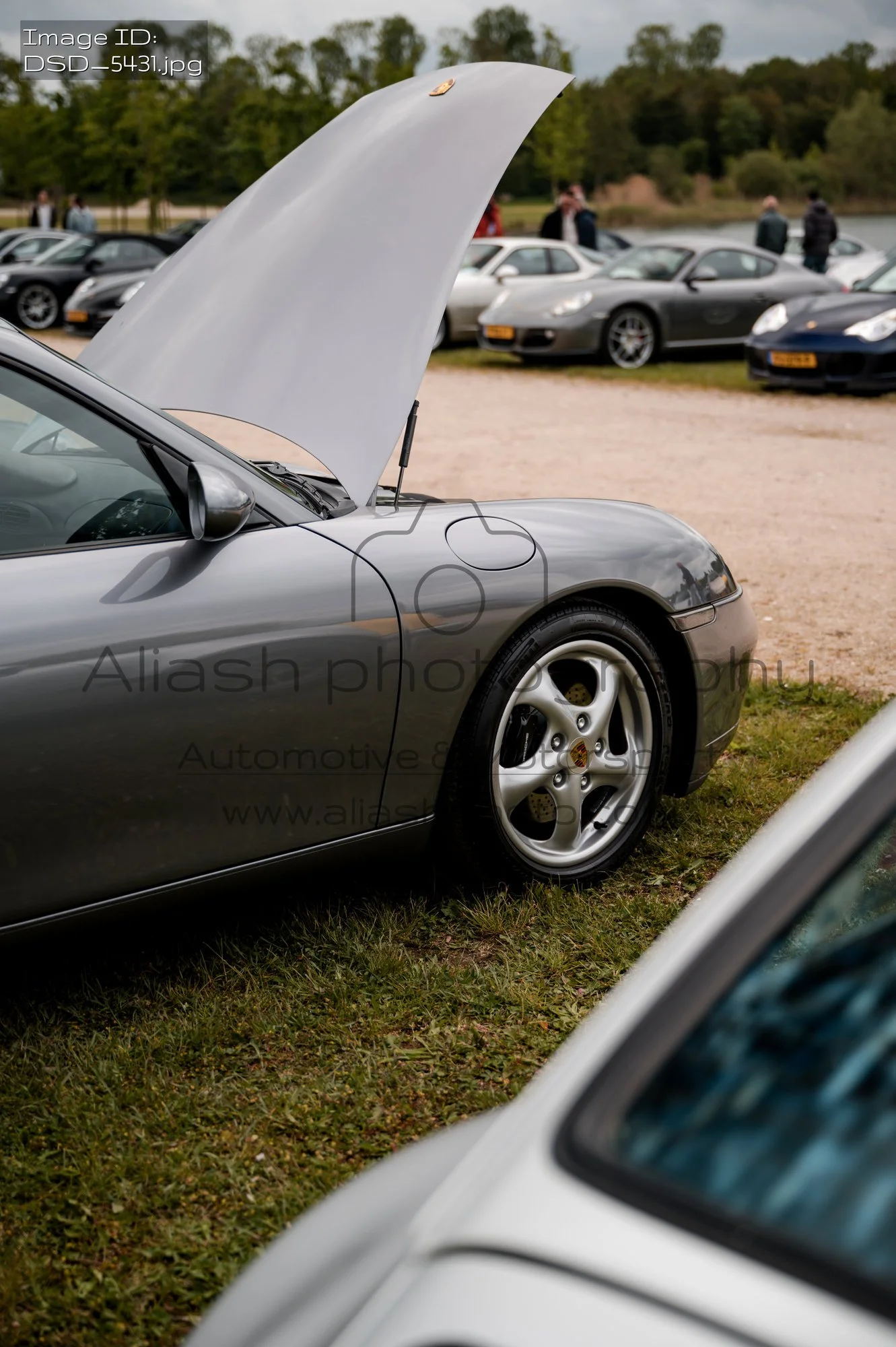 DSD_5431.jpg