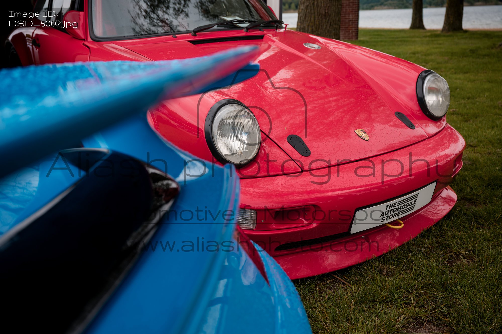DSD_5002.jpg
