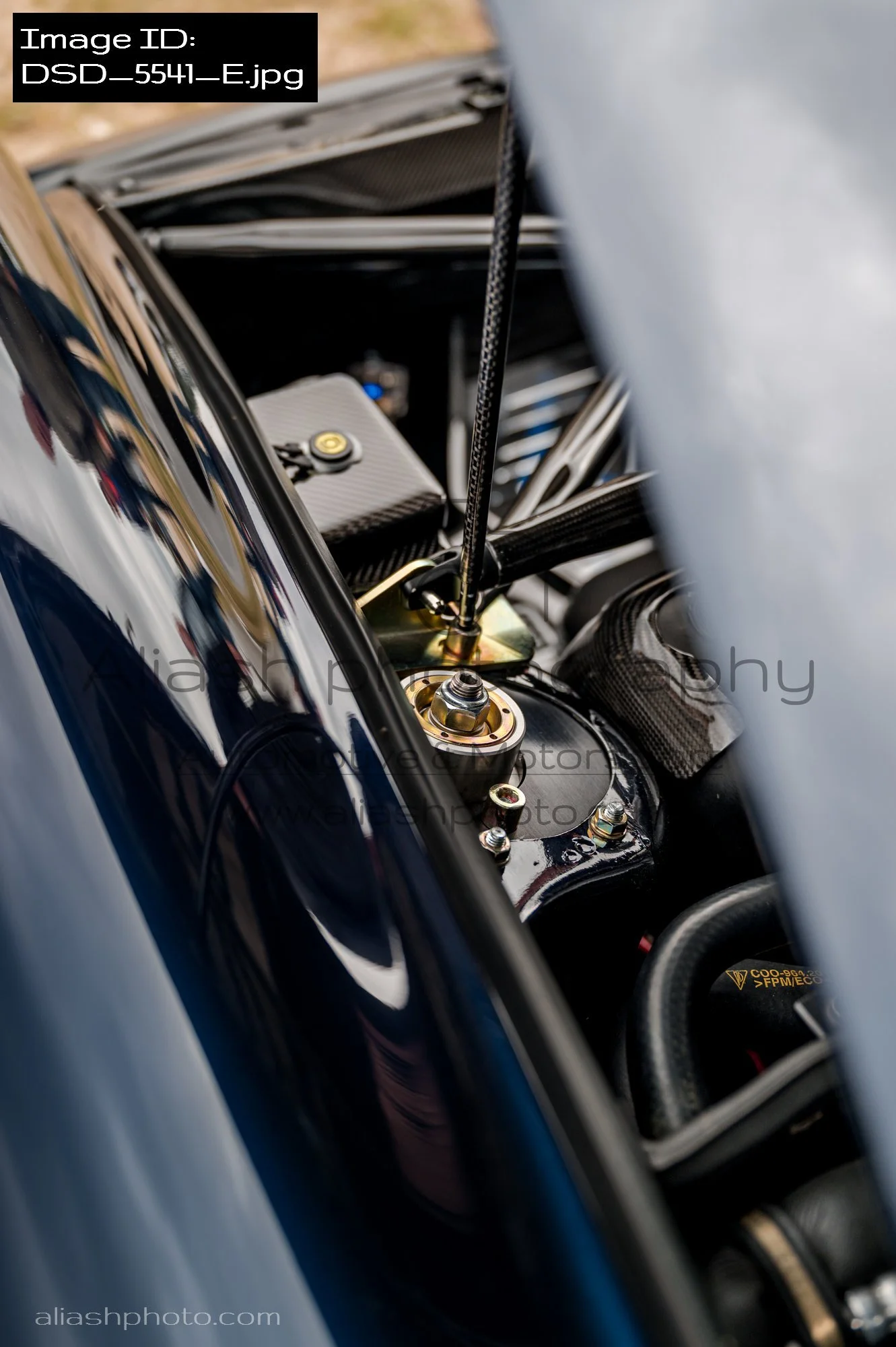 DSD_5541_E.jpg