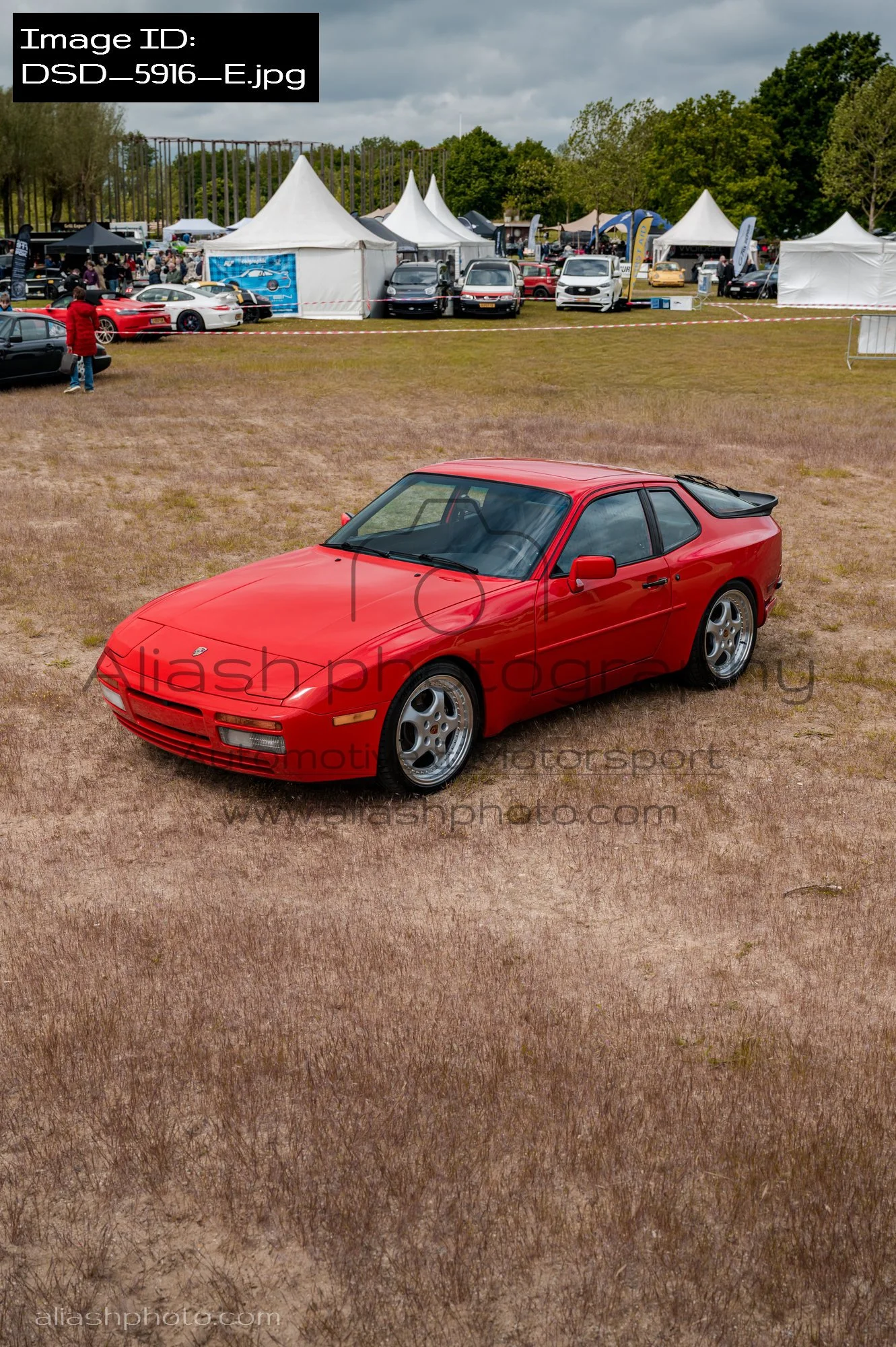 DSD_5916_E.jpg