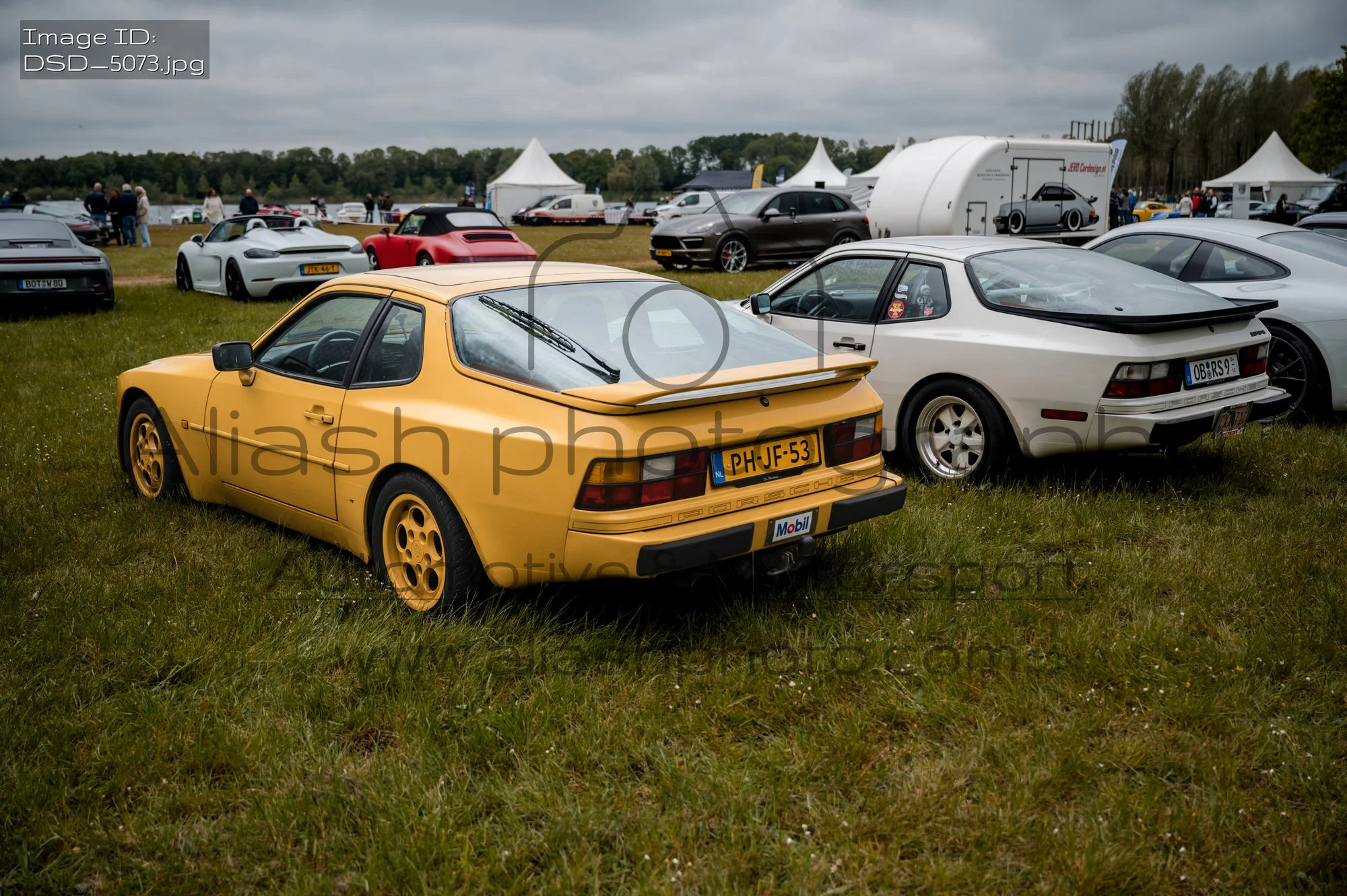 DSD_5073.jpg