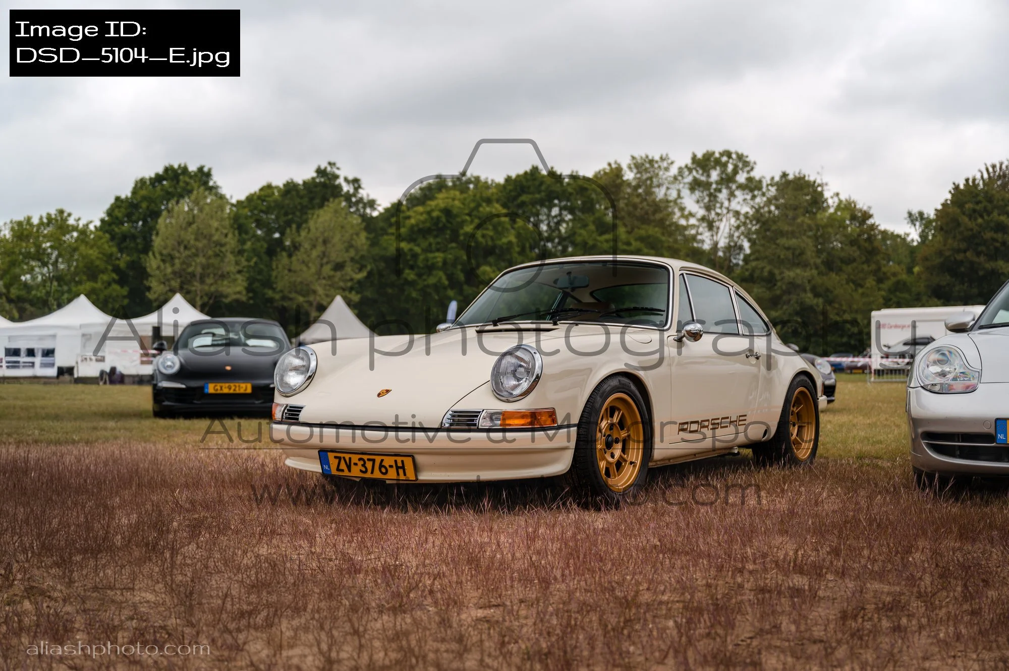 DSD_5104_E.jpg