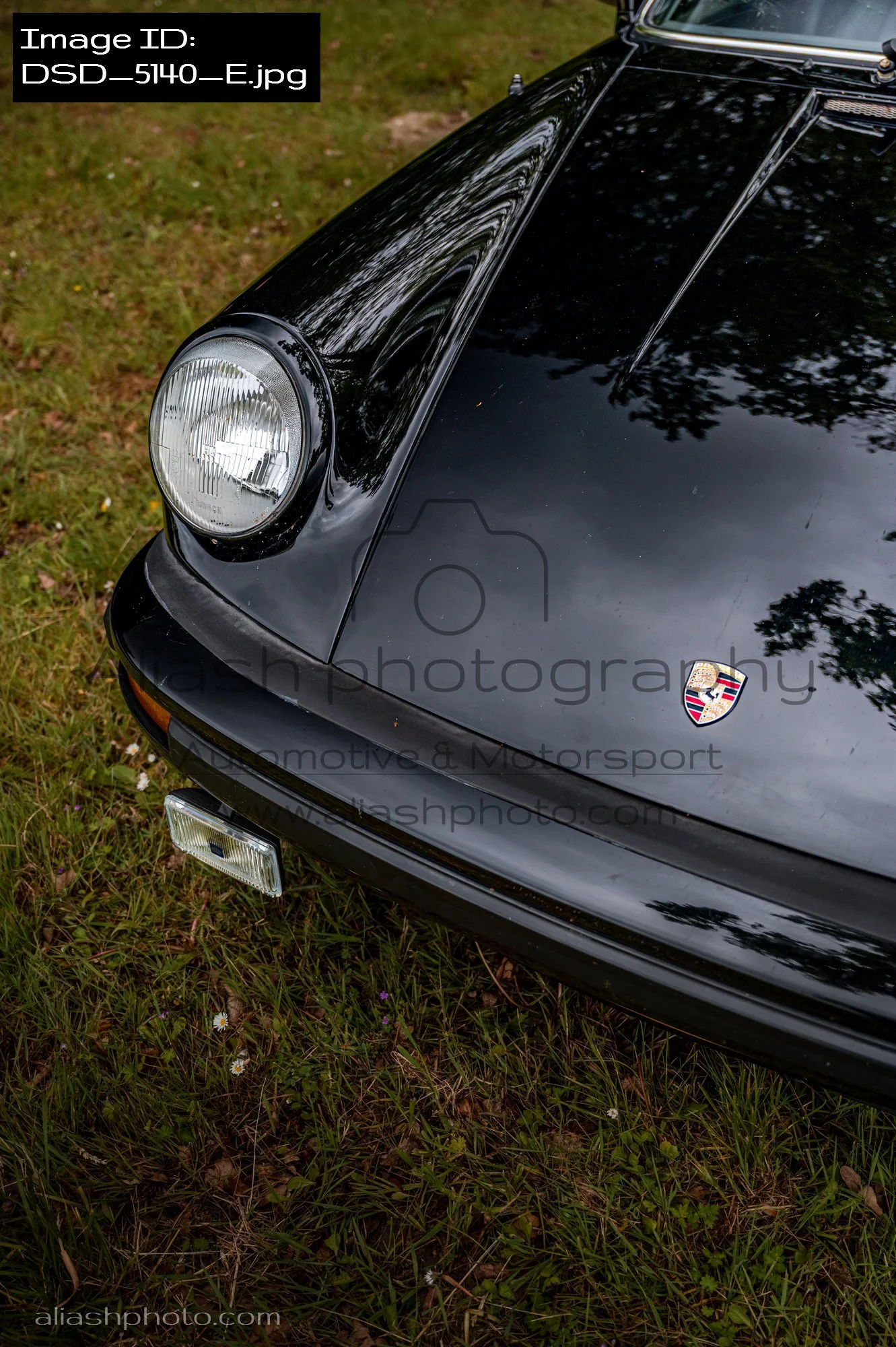 DSD_5140_E.jpg