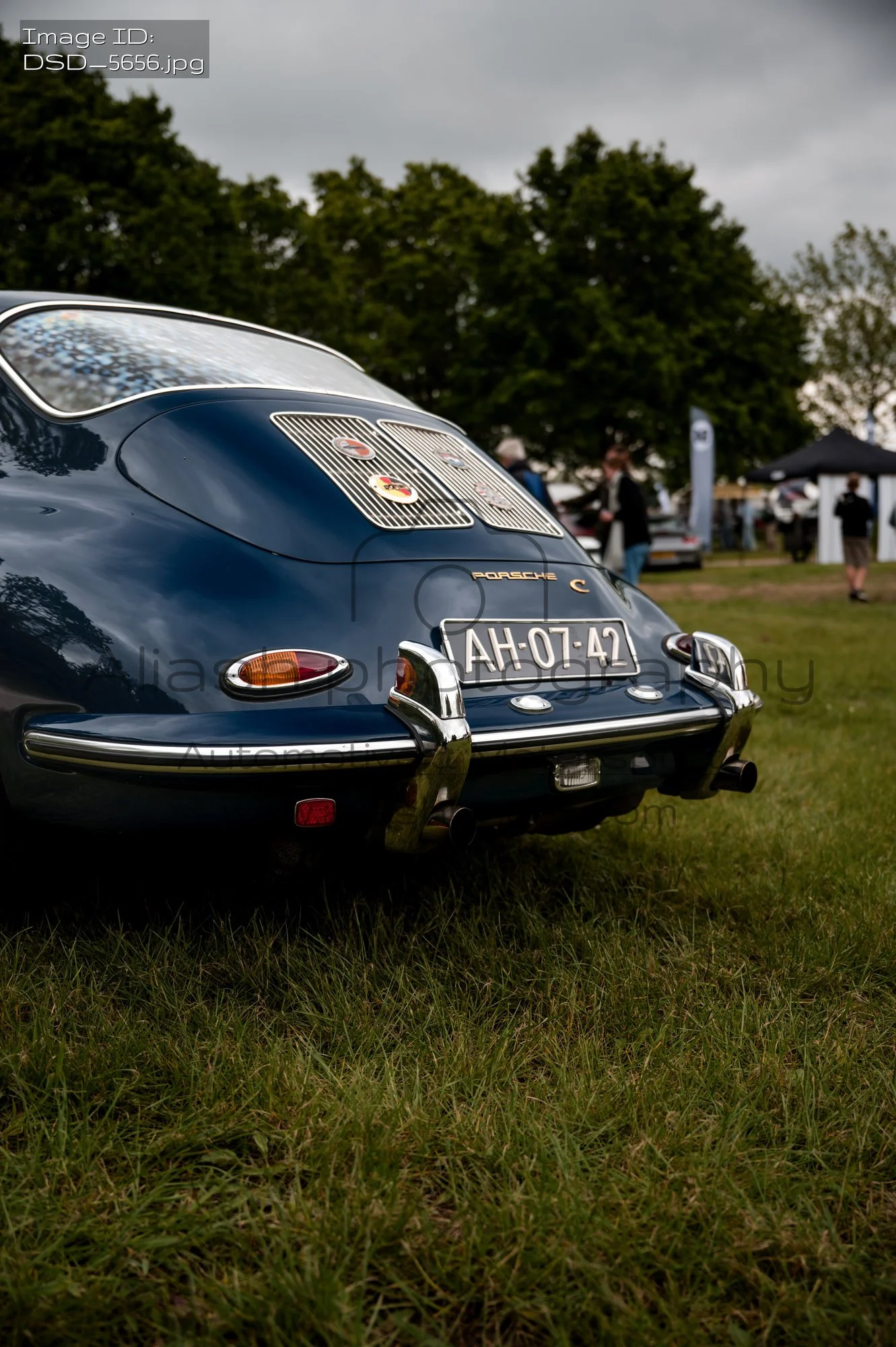 DSD_5656.jpg