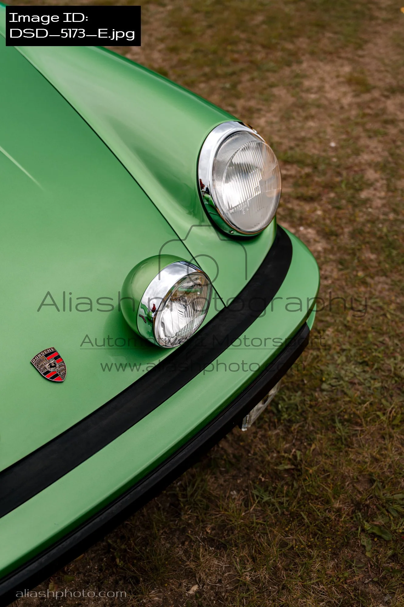 DSD_5173_E.jpg