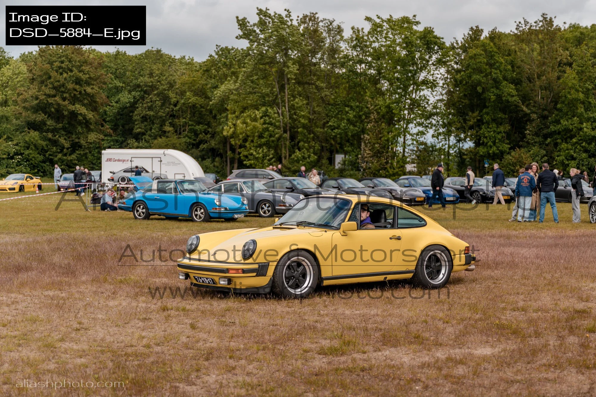DSD_5884_E.jpg