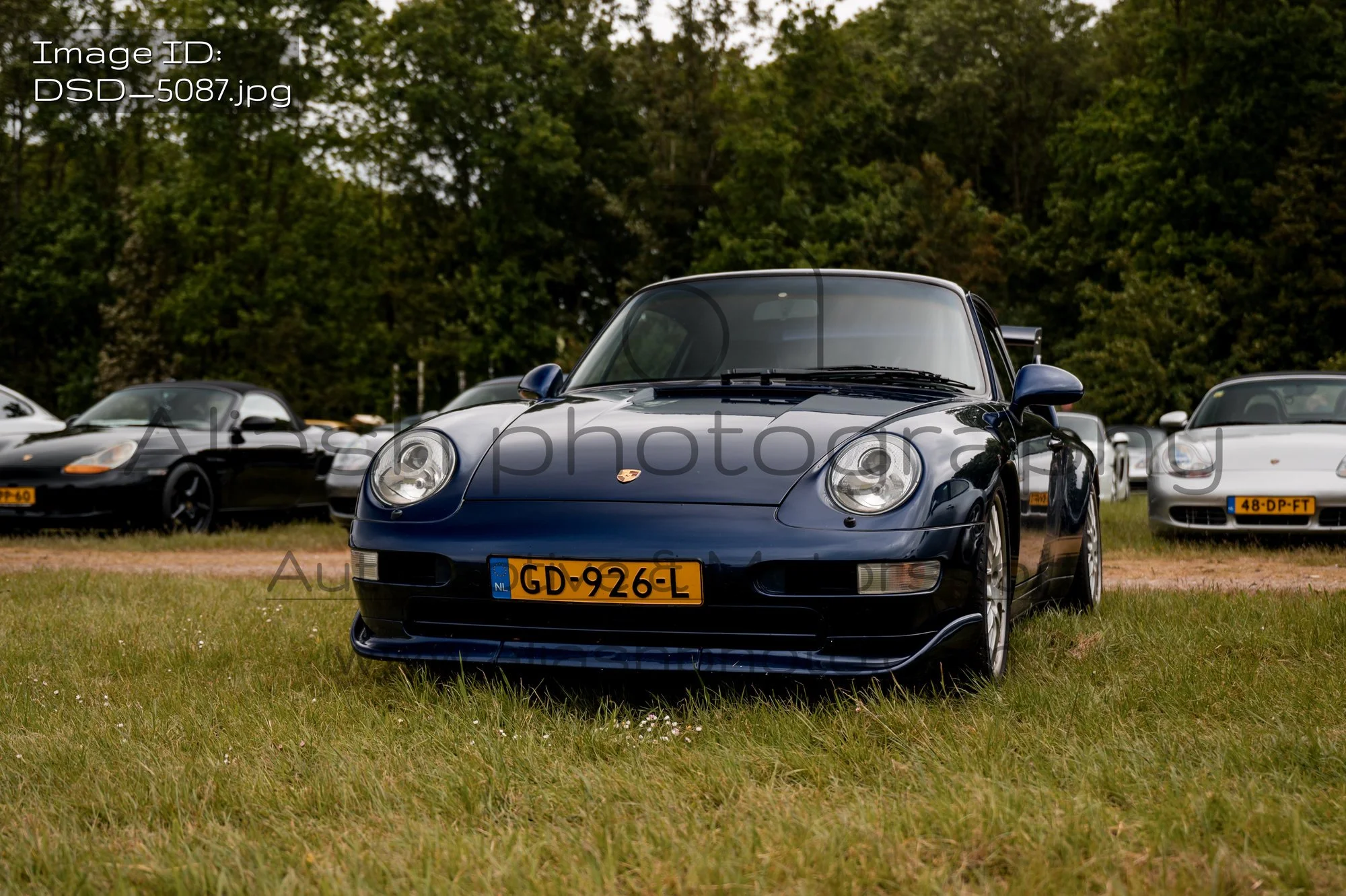DSD_5087.jpg
