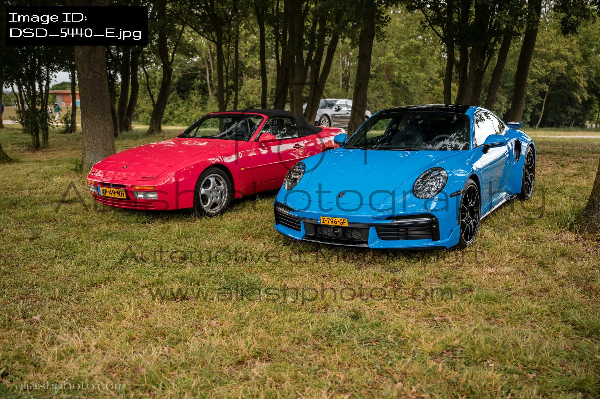 DSD_5440_E.jpg
