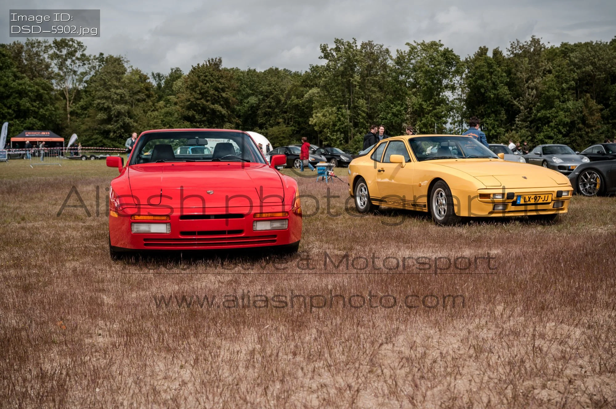 DSD_5902.jpg
