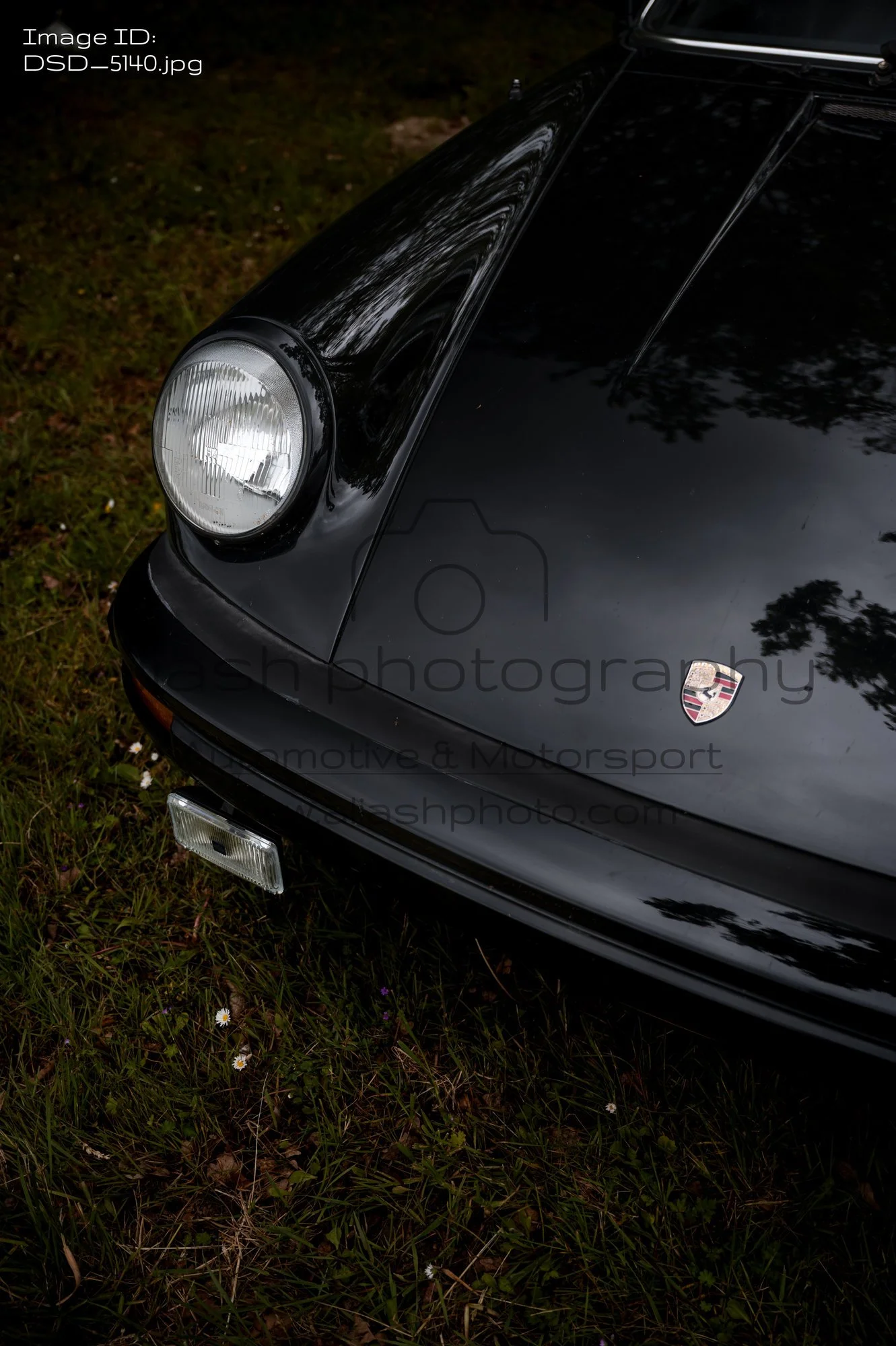 DSD_5140.jpg