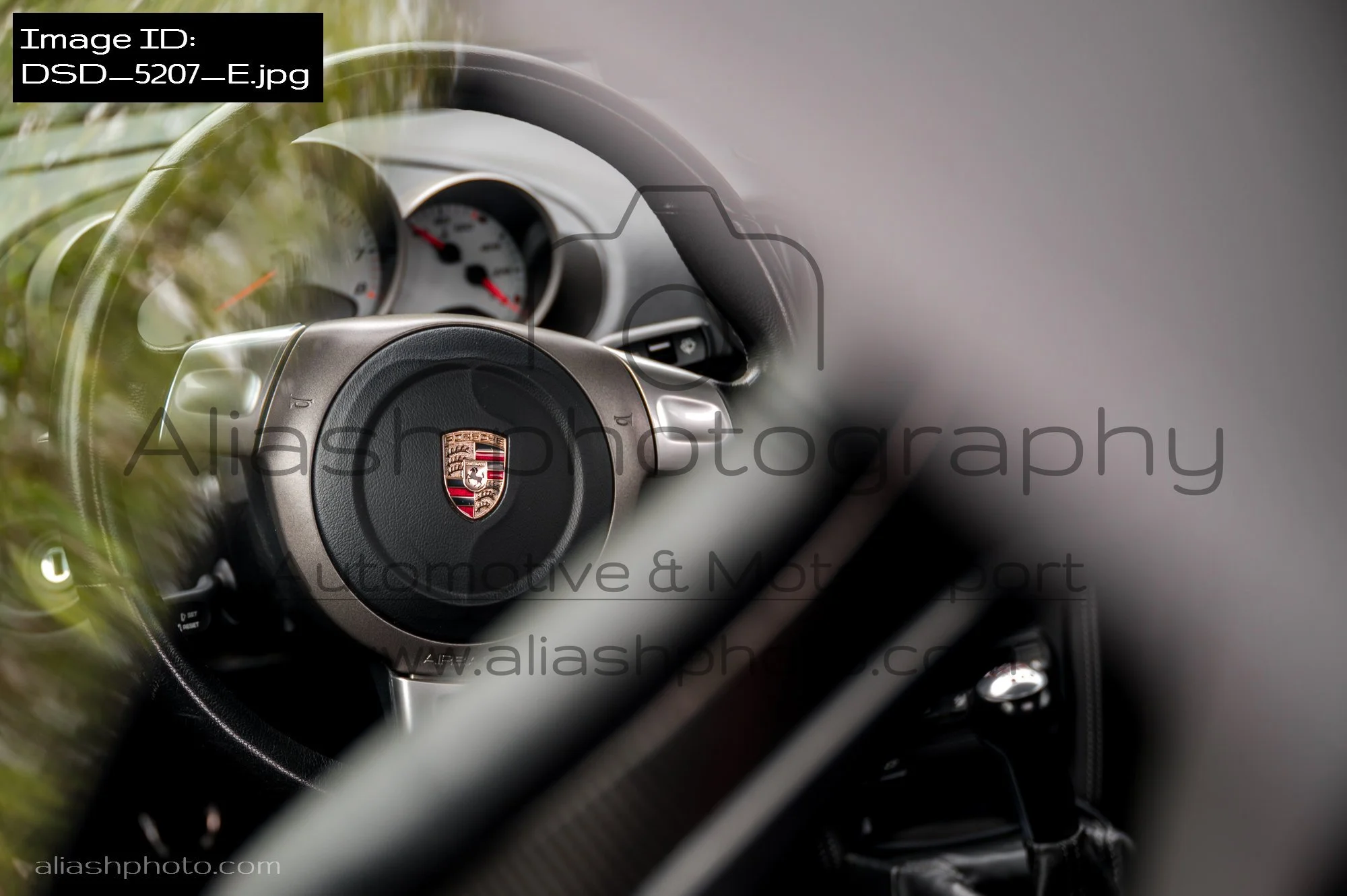 DSD_5207_E.jpg