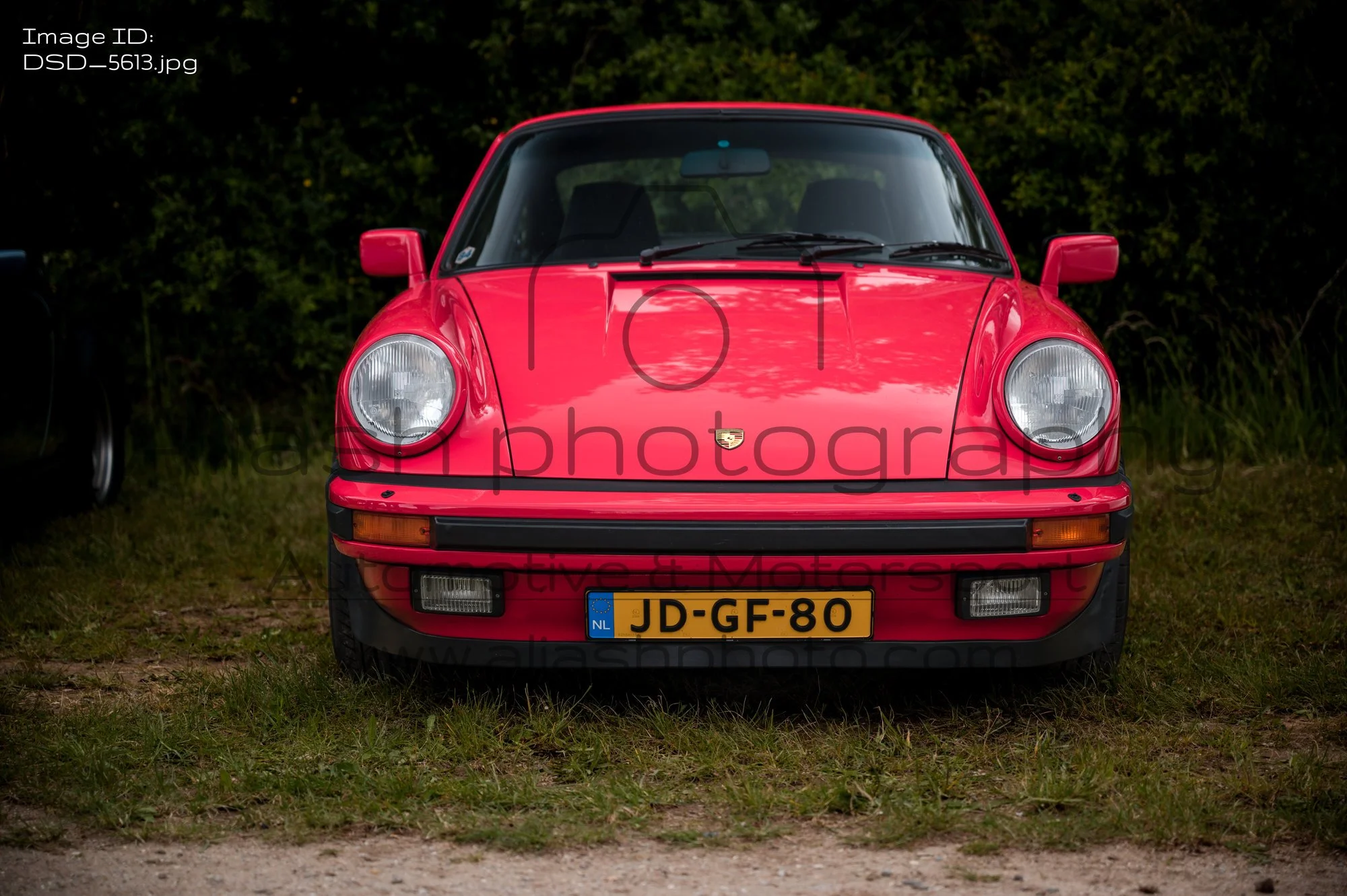 DSD_5613.jpg