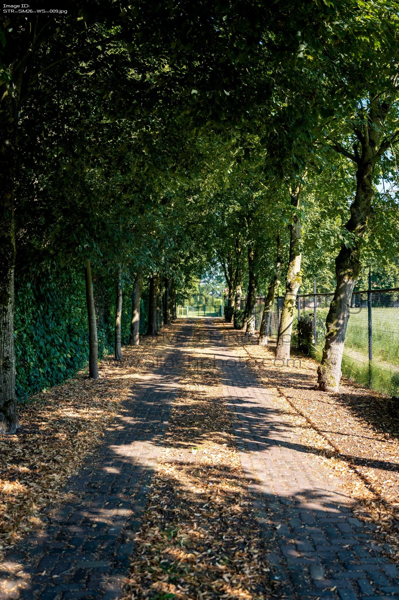 STR_SM26_WS_009.jpg