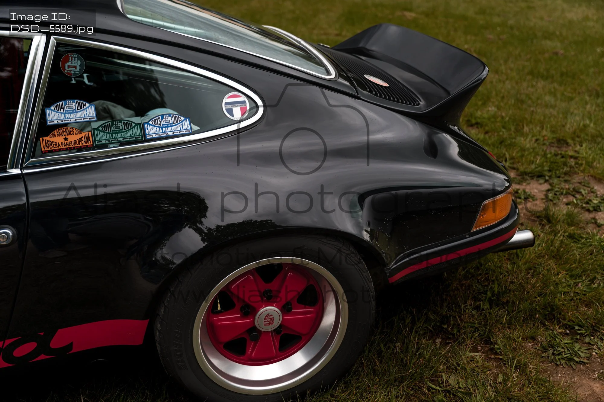 DSD_5589.jpg