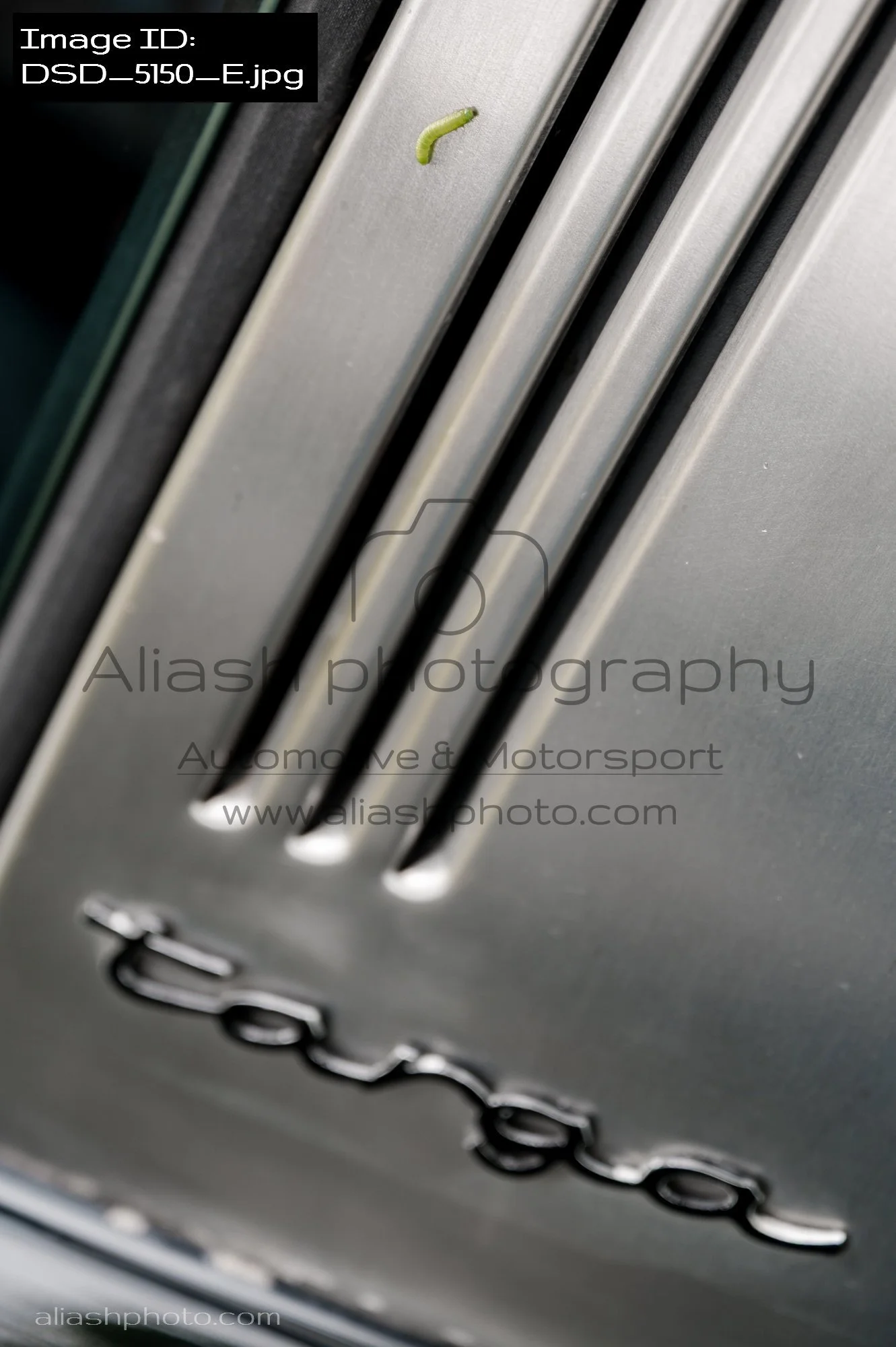 DSD_5150_E.jpg