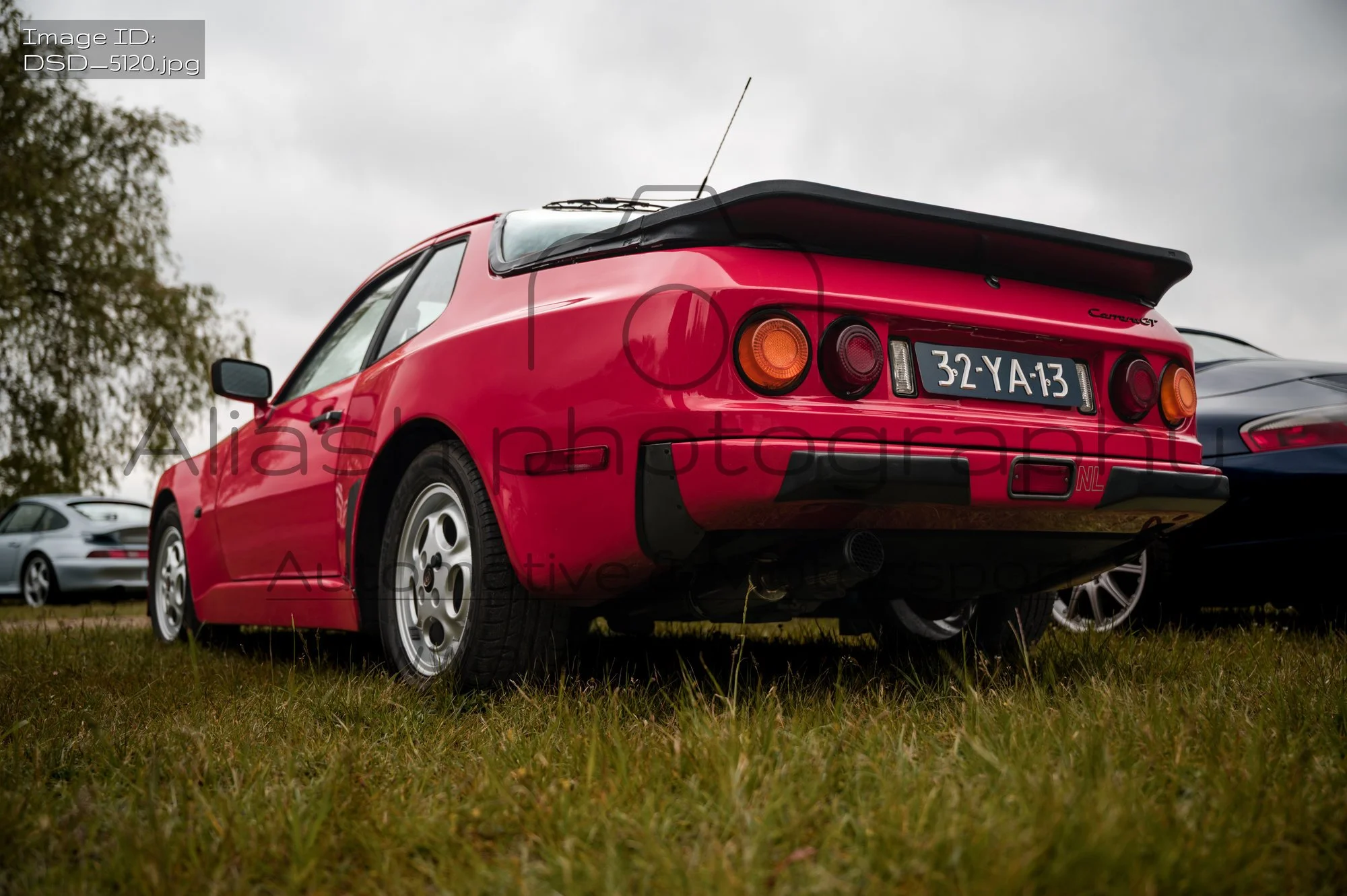DSD_5120.jpg