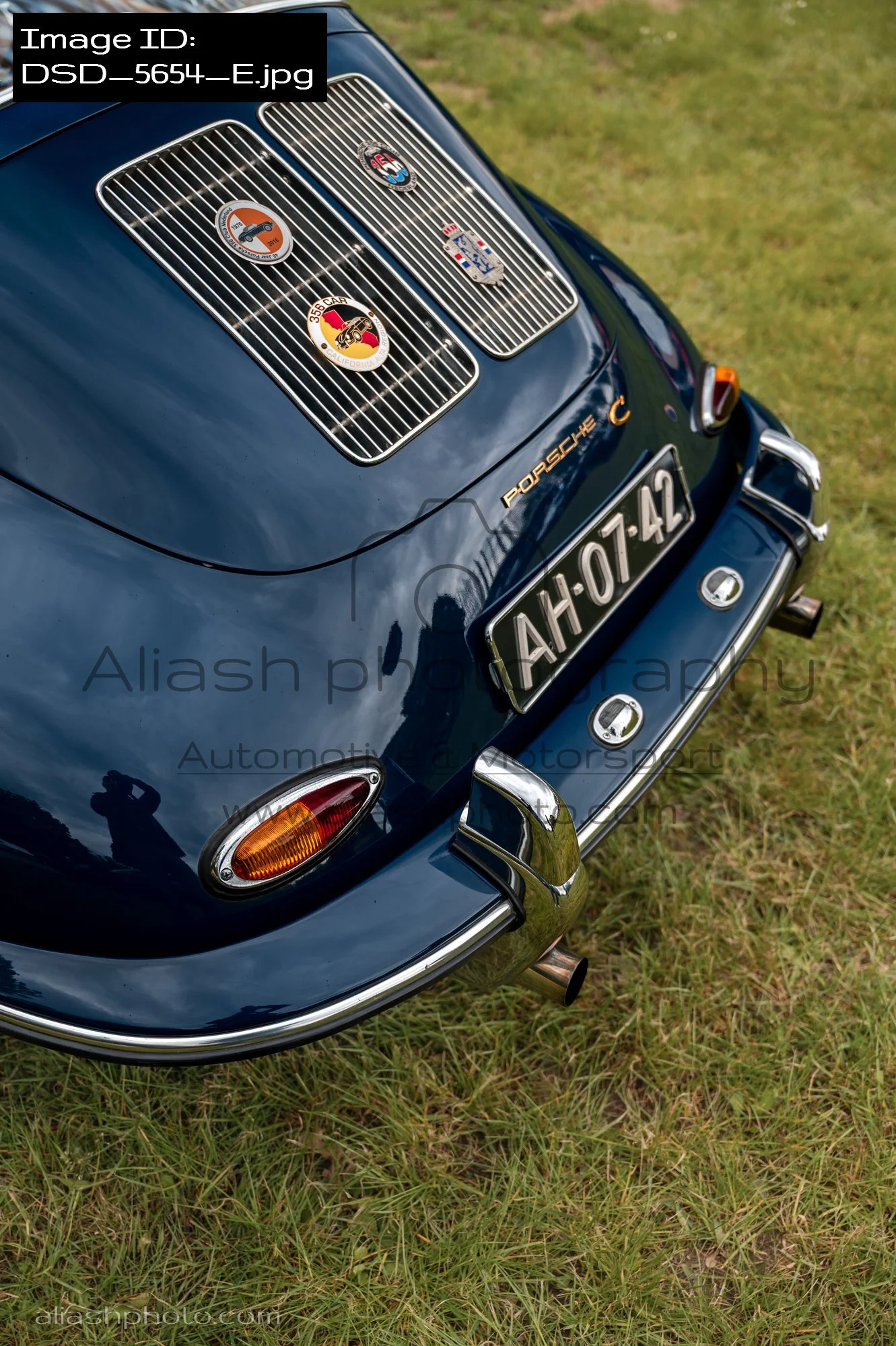DSD_5654_E.jpg