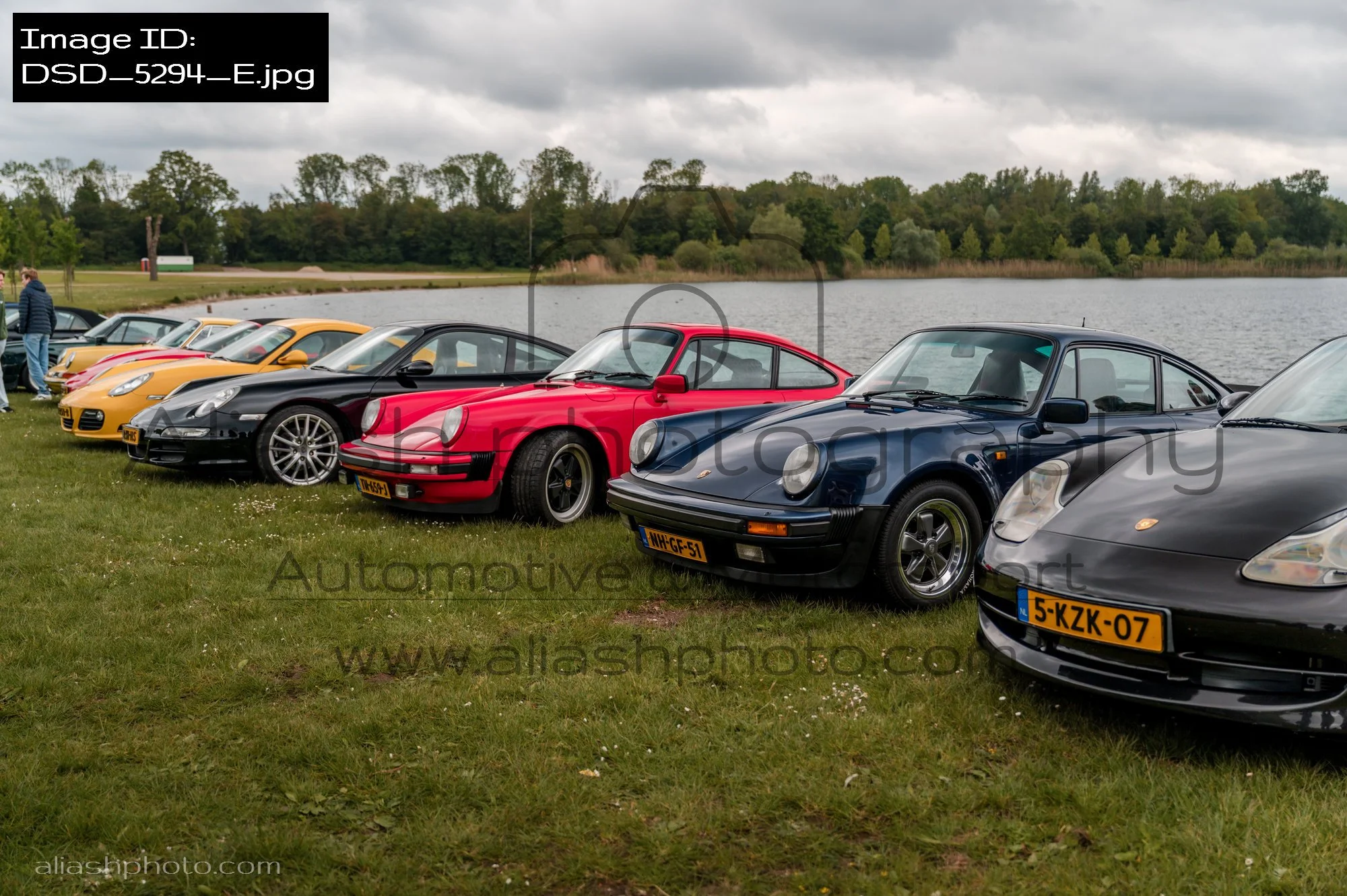 DSD_5294_E.jpg