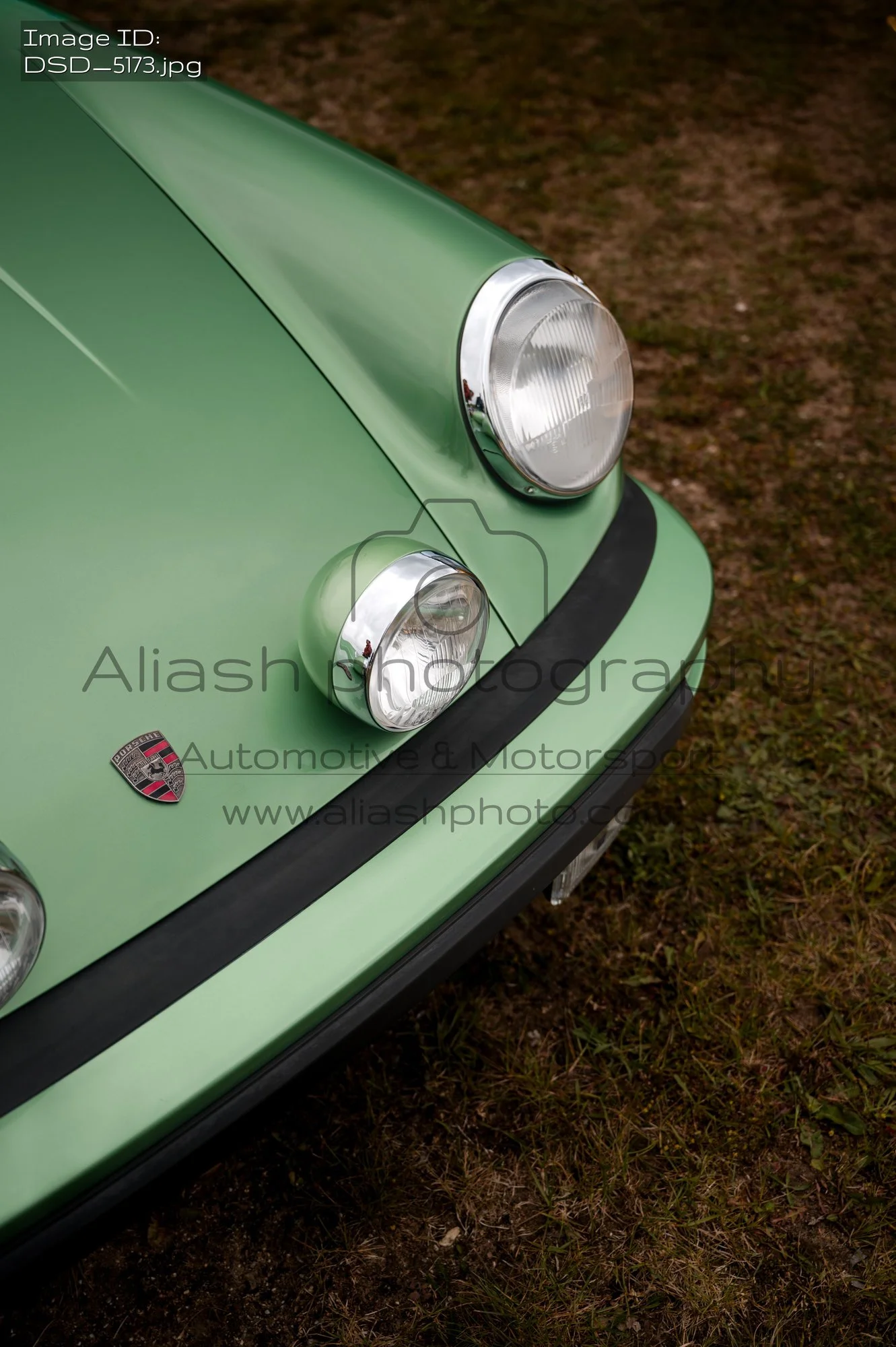 DSD_5173.jpg
