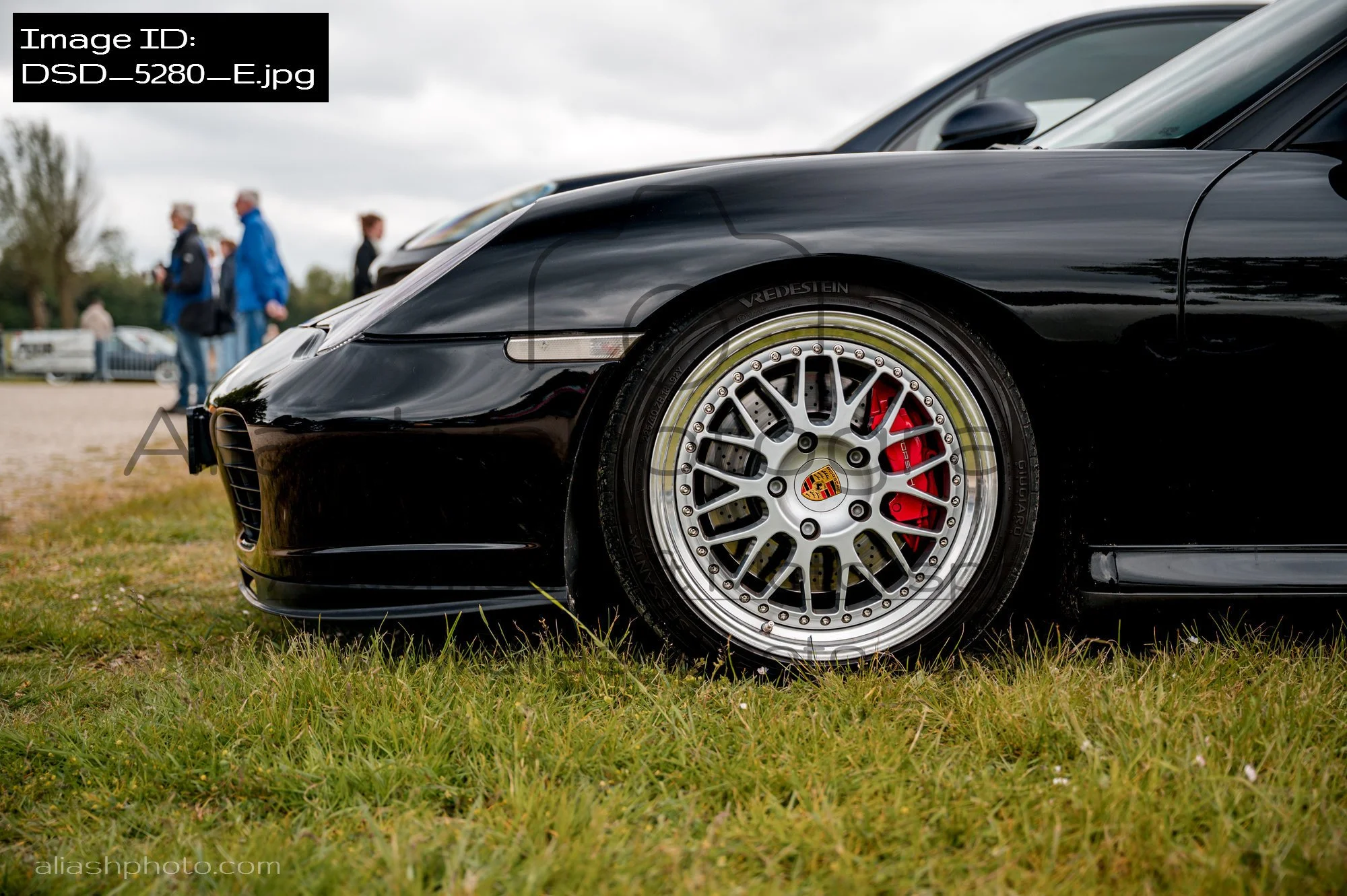 DSD_5280_E.jpg